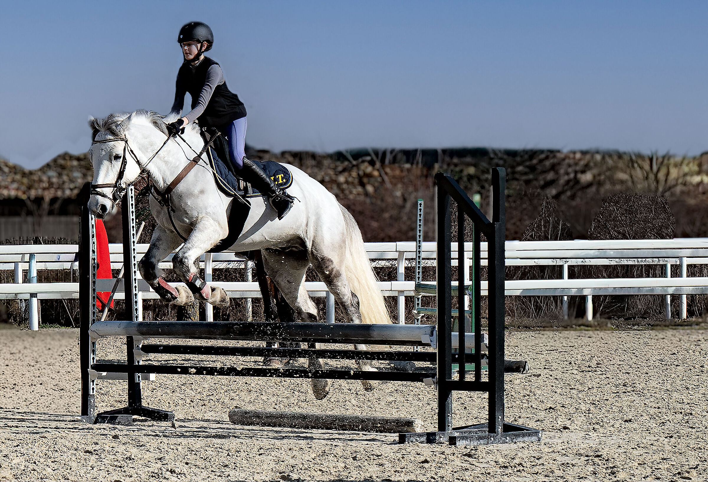 Granddaughter equestrian