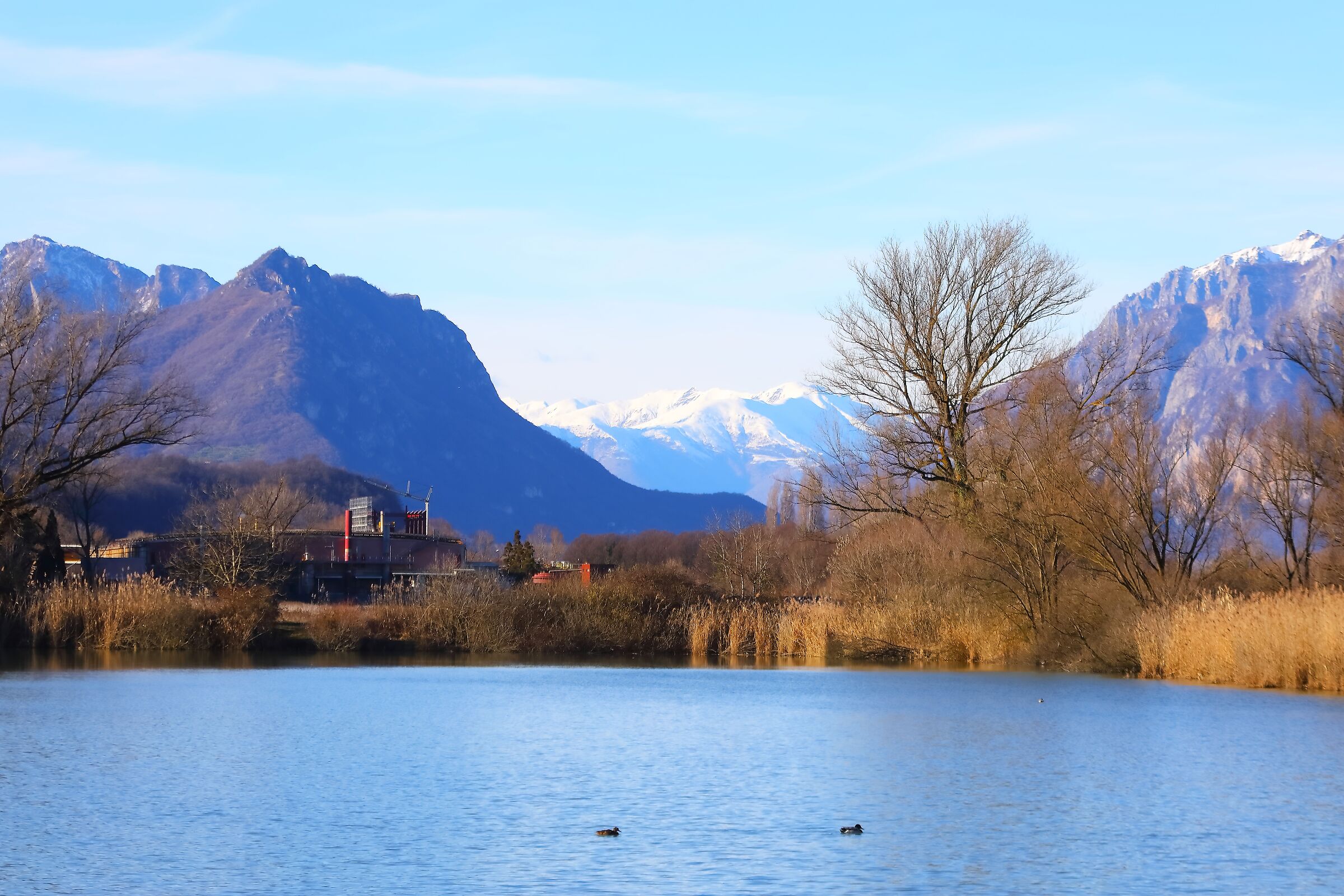 Panorama 20 febbraio 2026