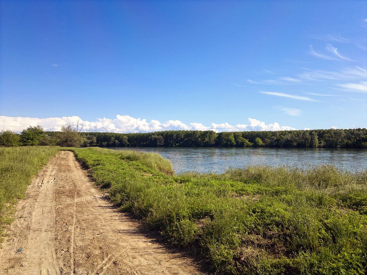 Parco Ticino Pavia - Nokia n8-00