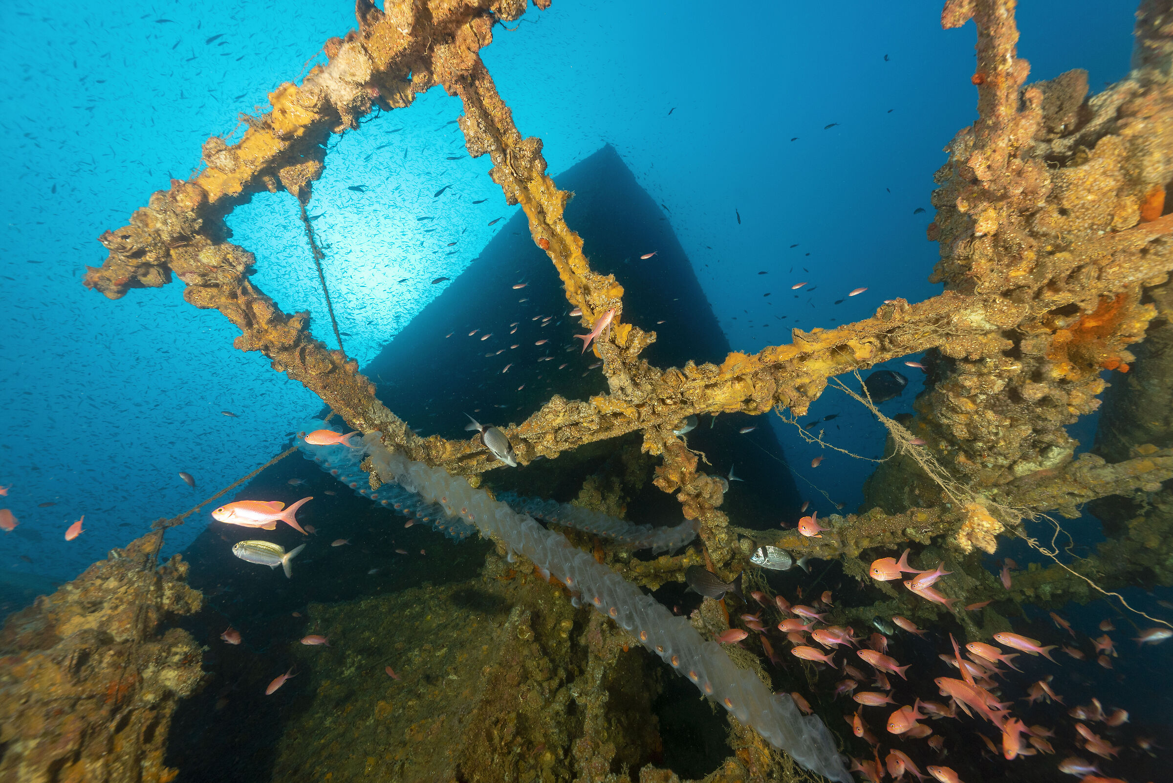 Oil tanker Milford Haven