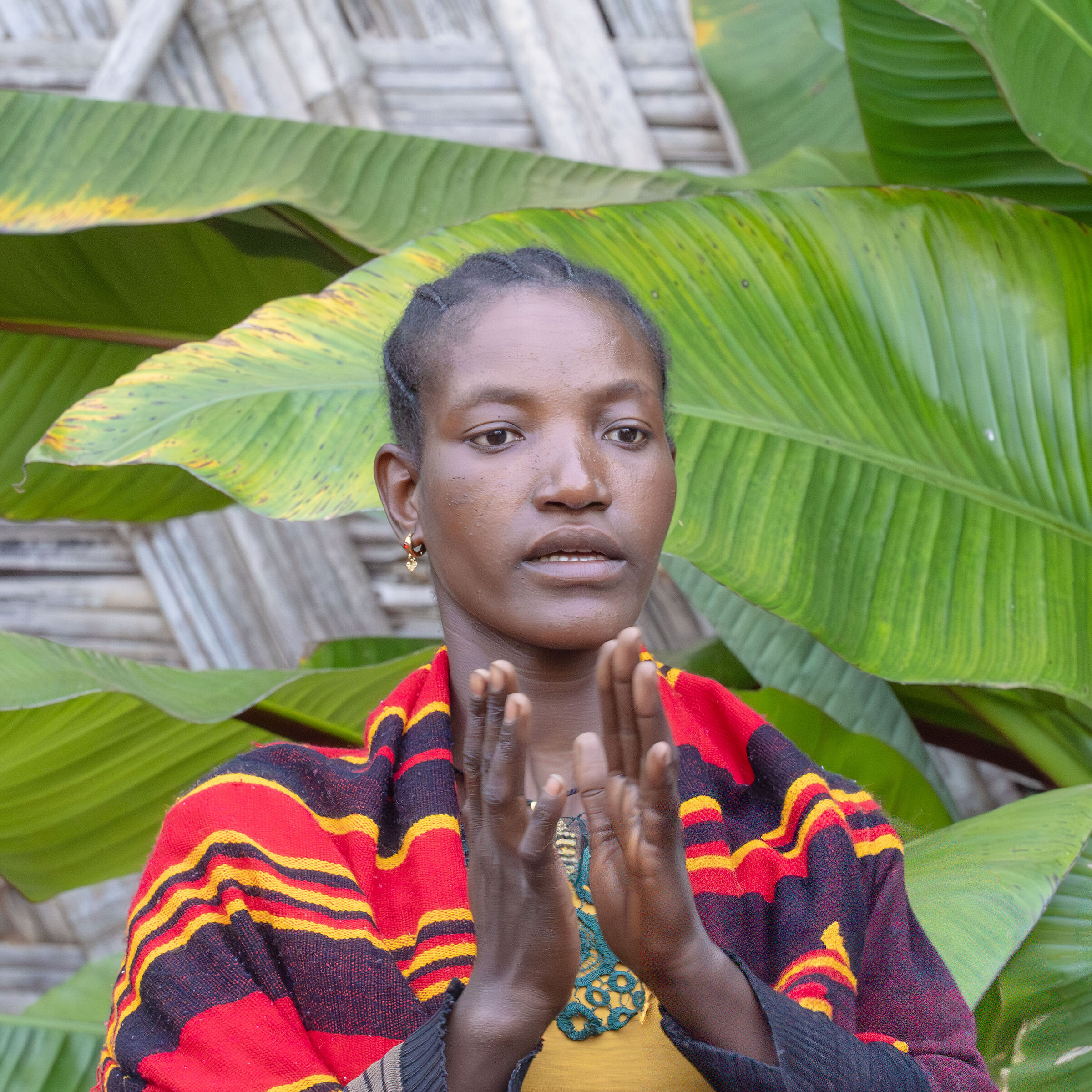 ...tracce di trecce...