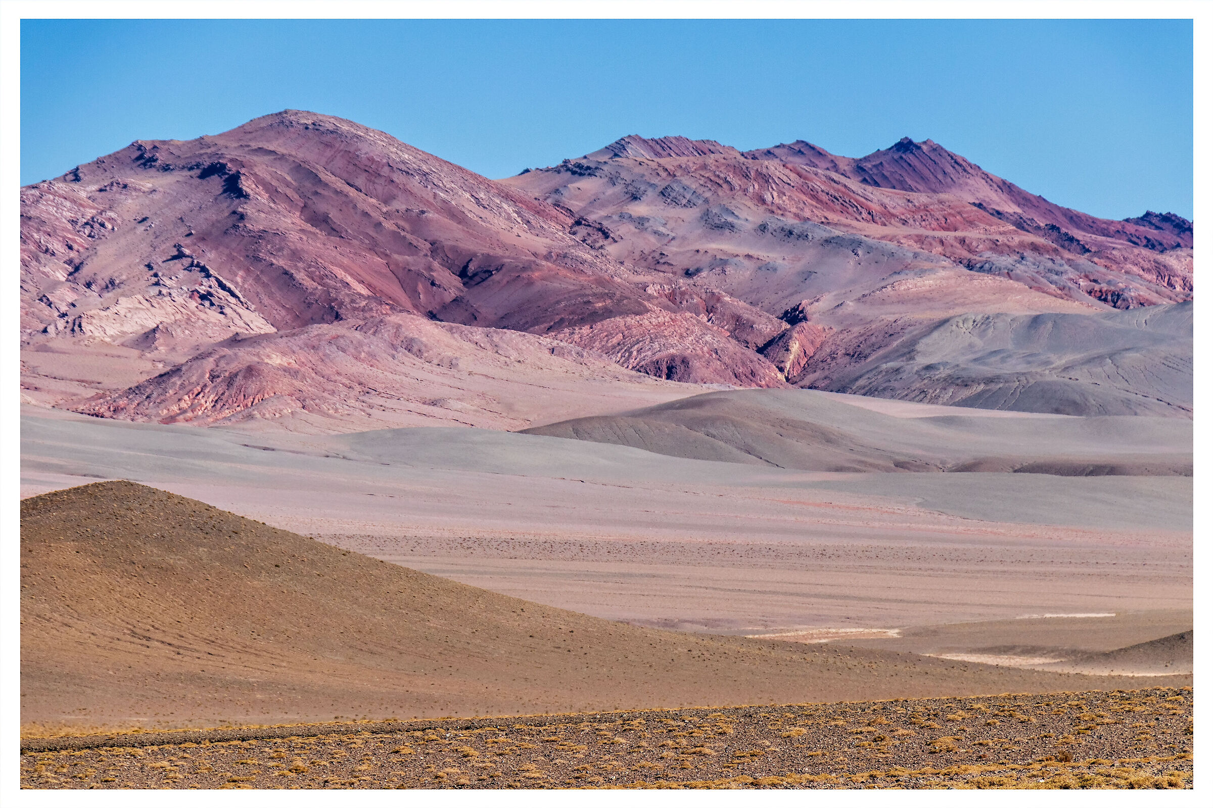 Pre Cordillera - Catamarca