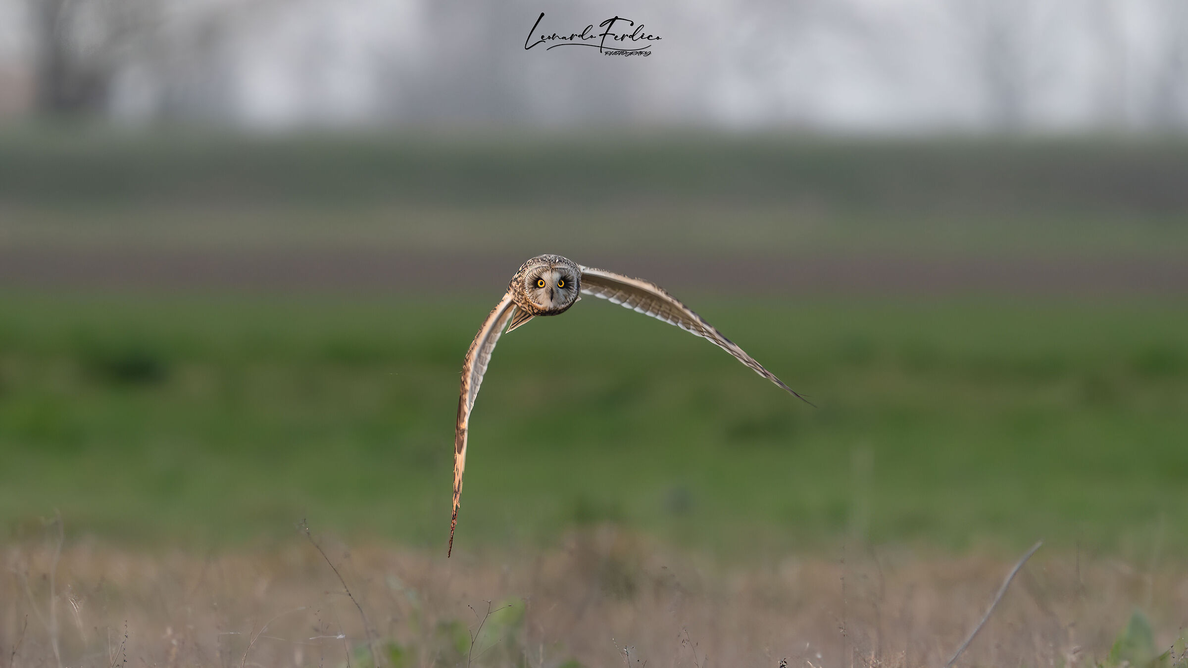 Eyes on eyes, without fear