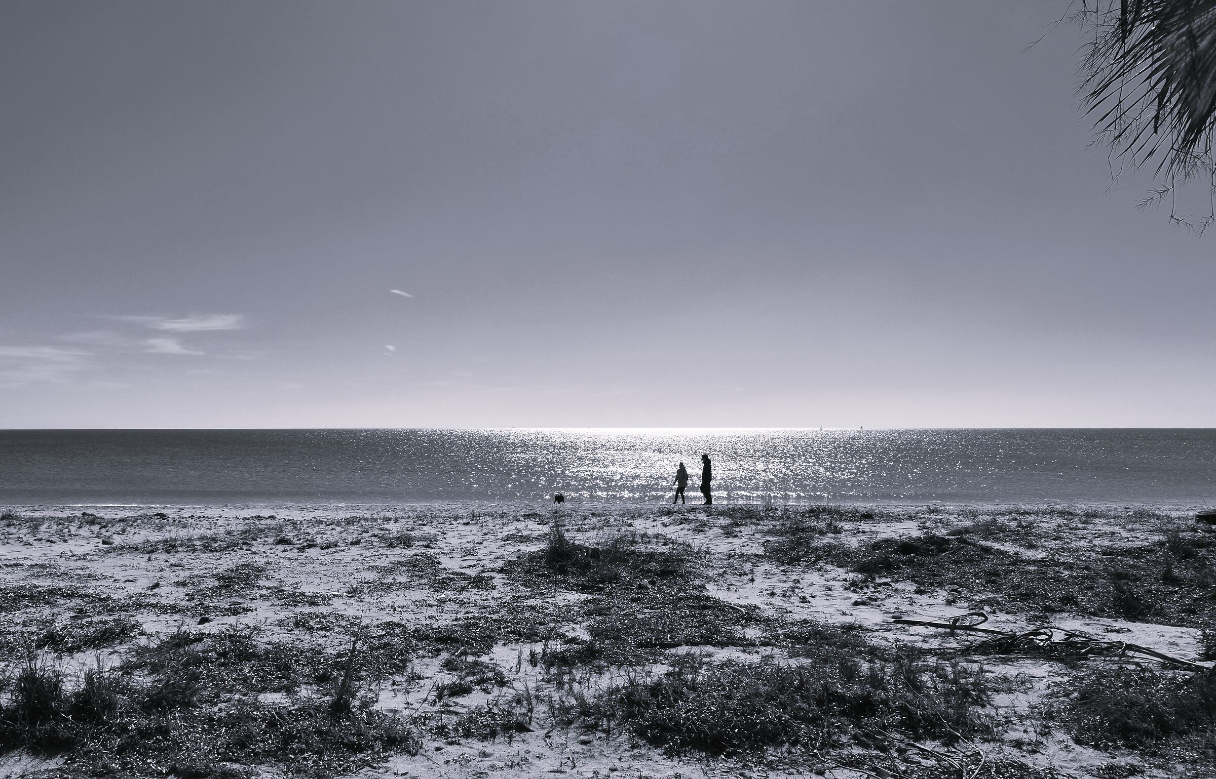 Where the sea shines