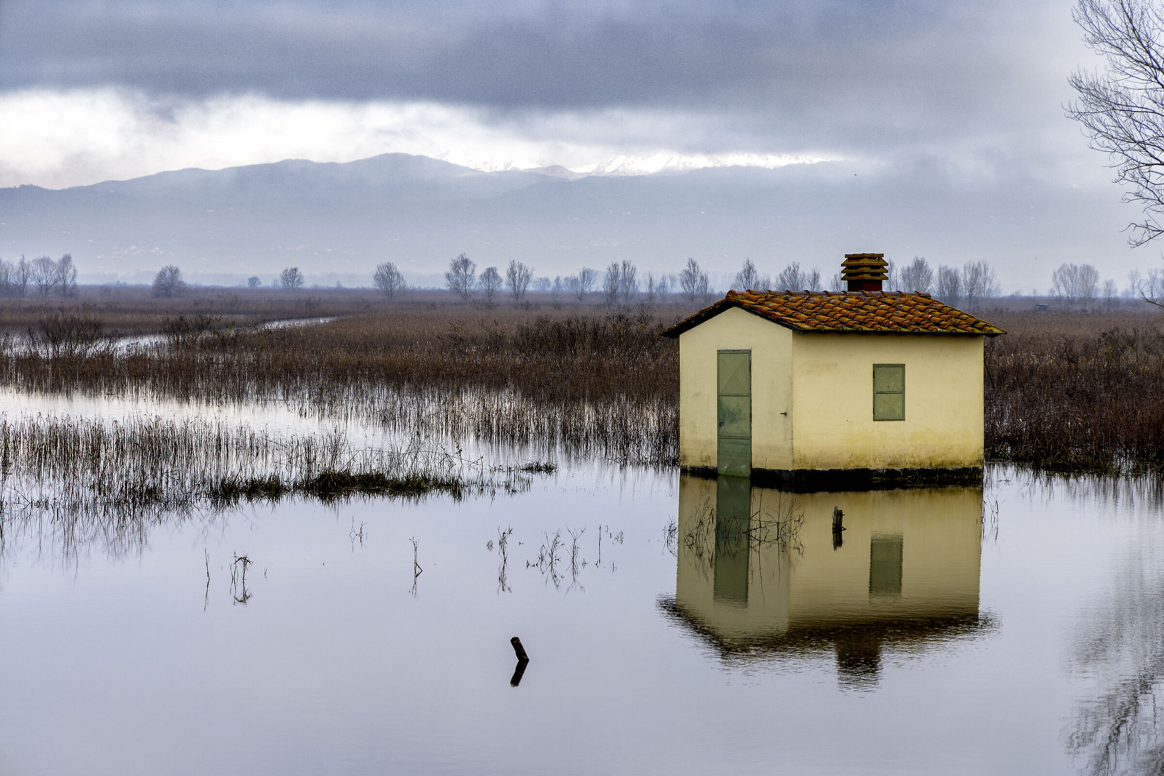 Riflessi