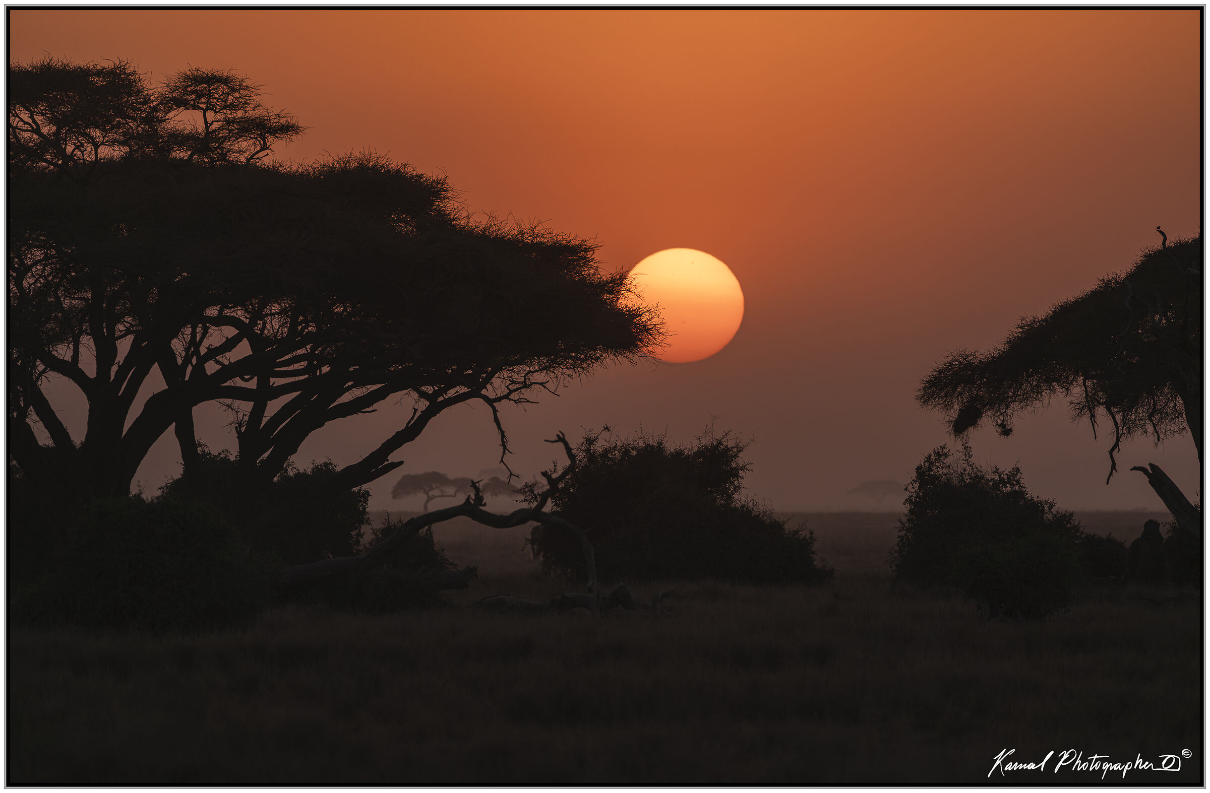 Amboseli national Park