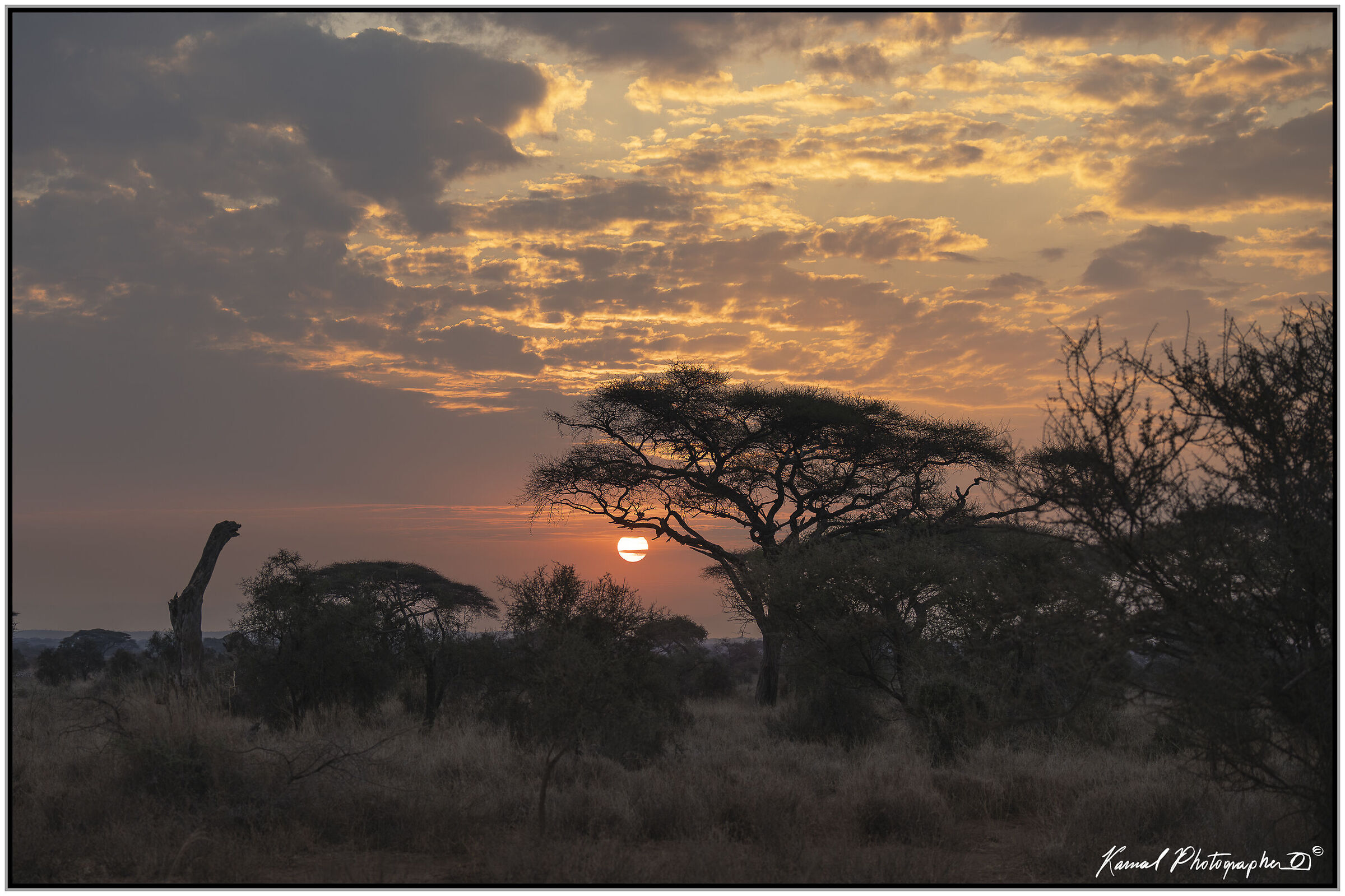 Amboseli national Park