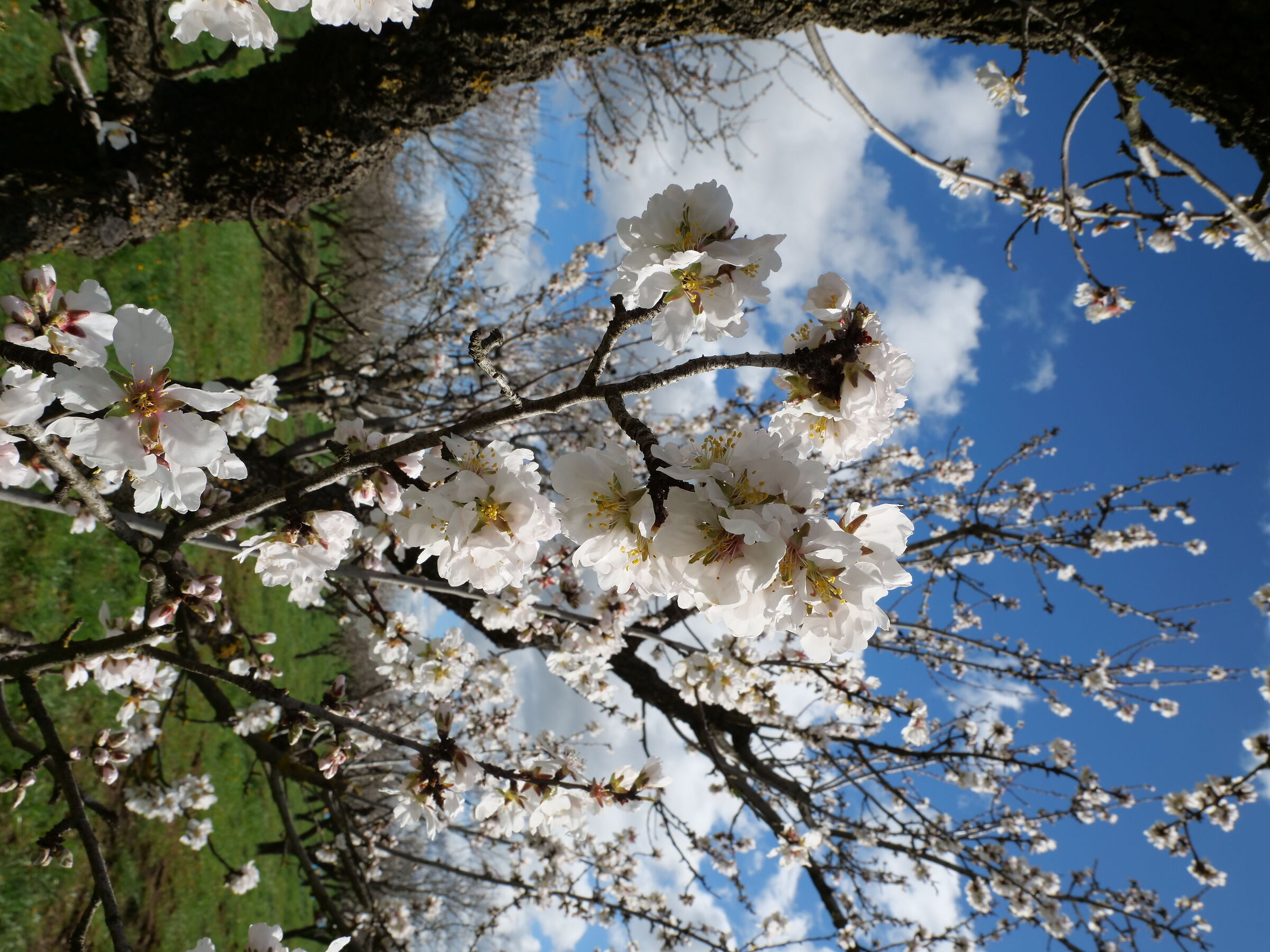 Spring is just around the corner part 1