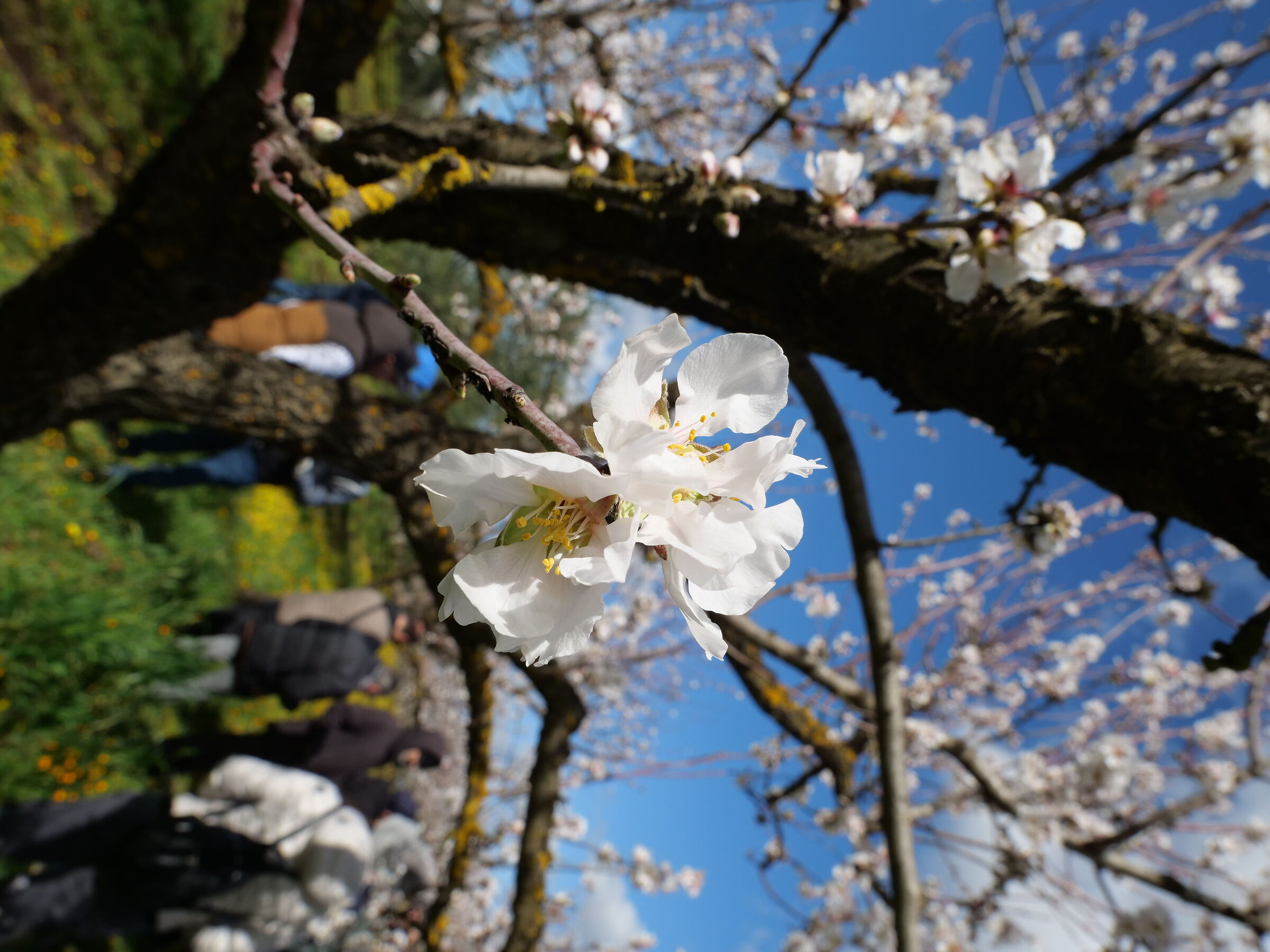 Spring is just around the corner part 2