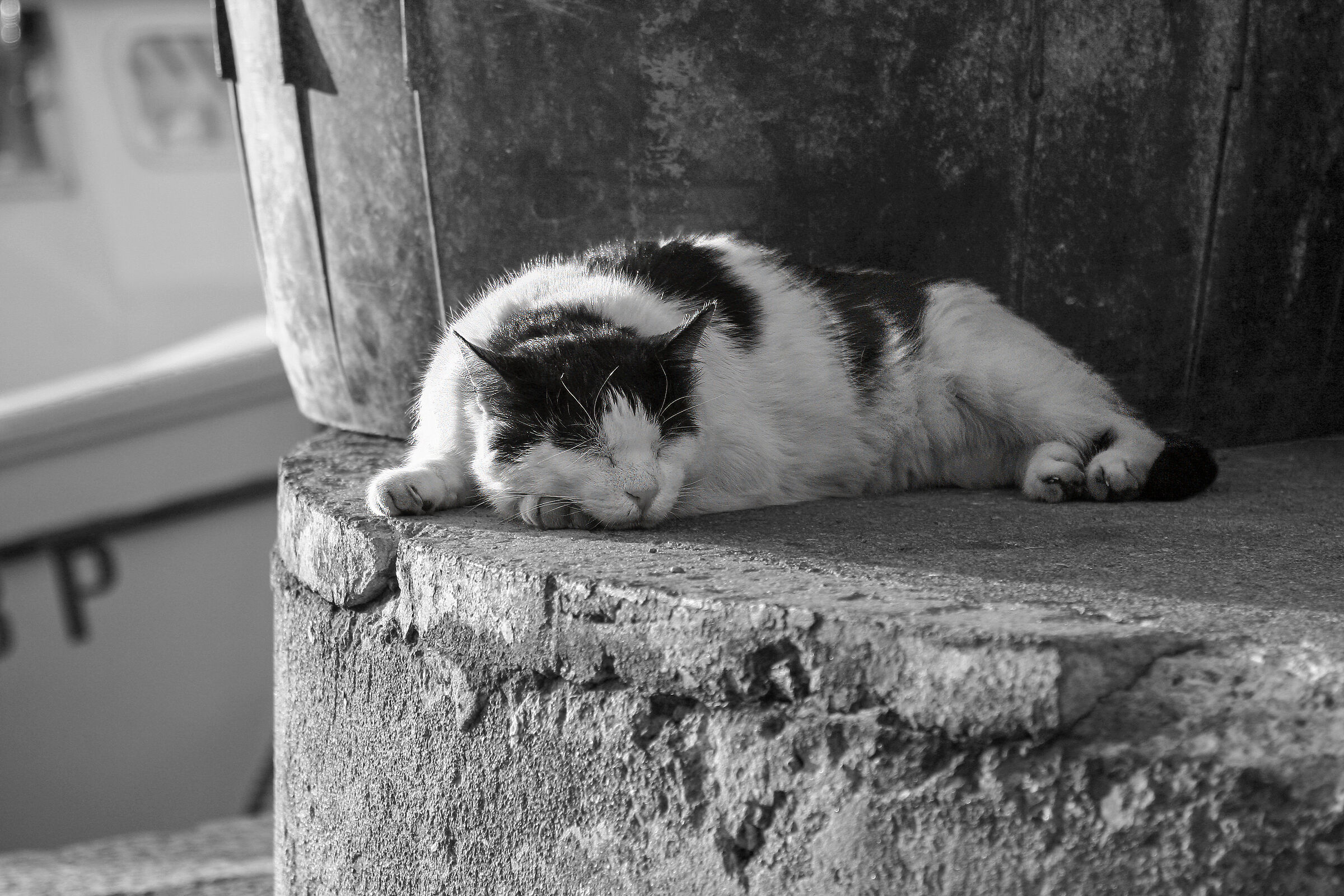Nap at the port of Genoa