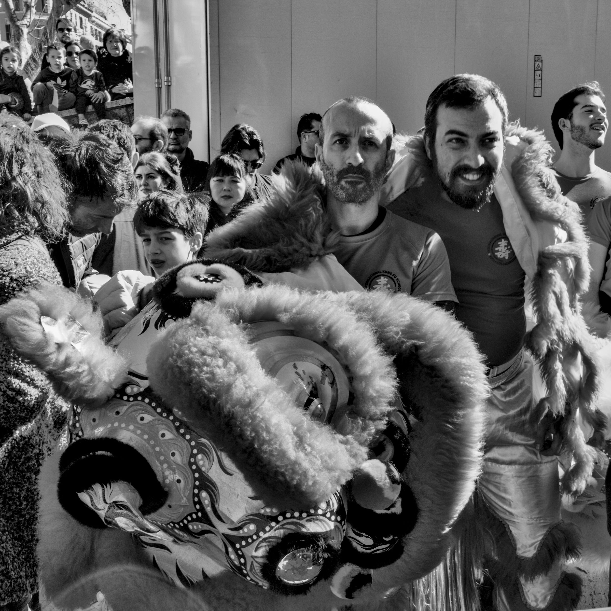 Year of the Fire Horse