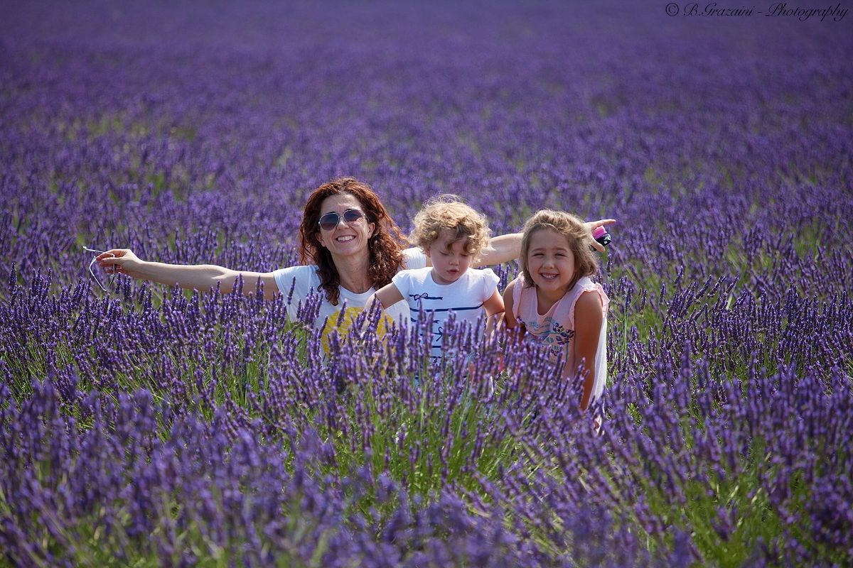 Immersi nel viola in Provenza