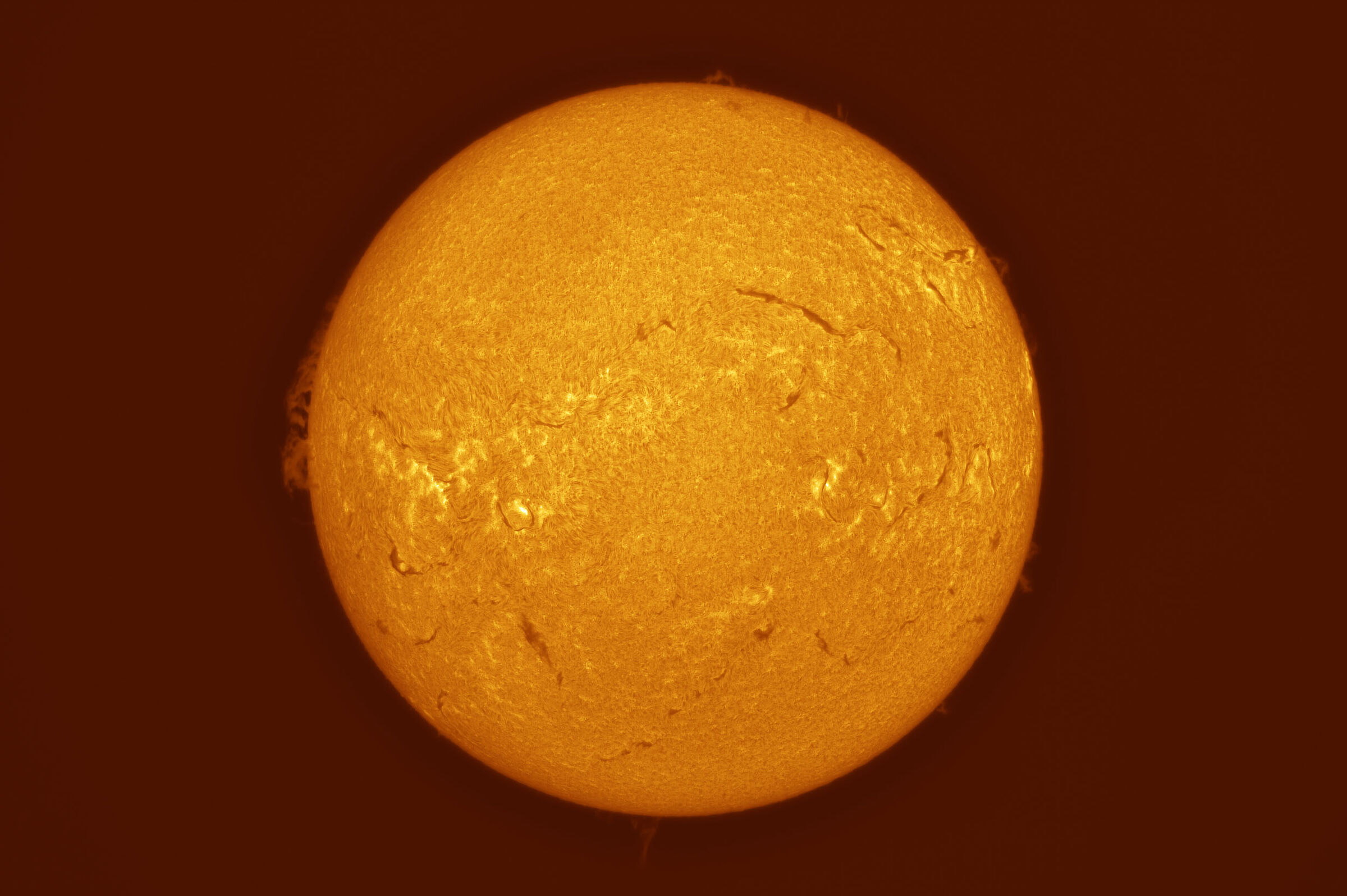 Spotless Sun (22.02.2026)