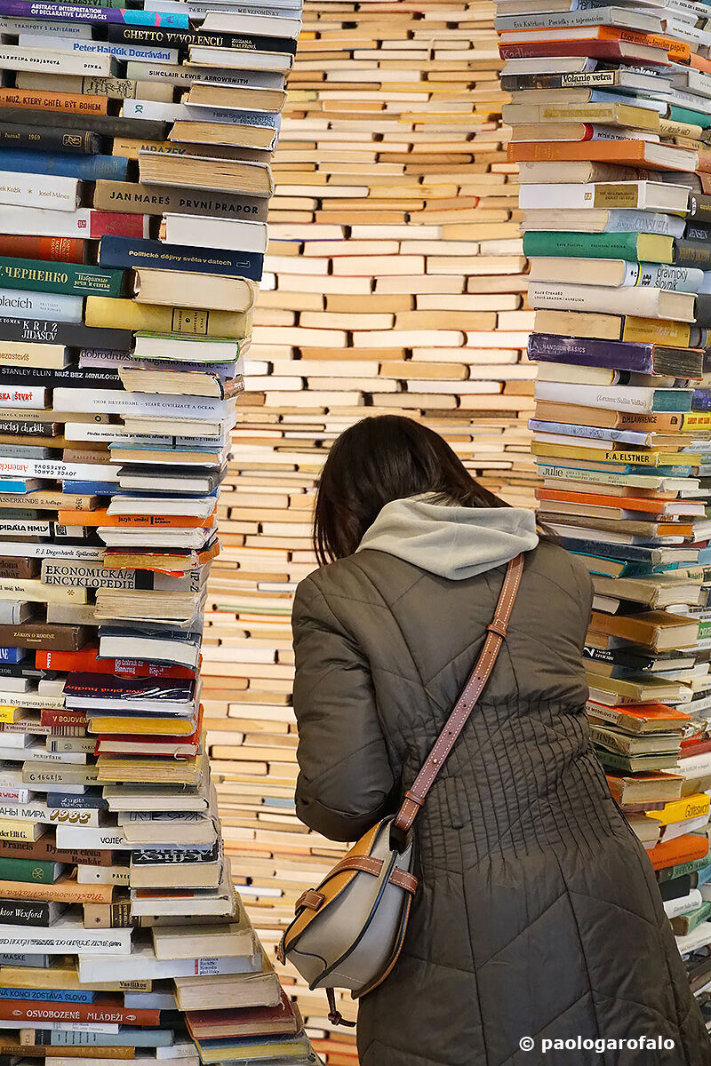 Affacciarsi al sapere