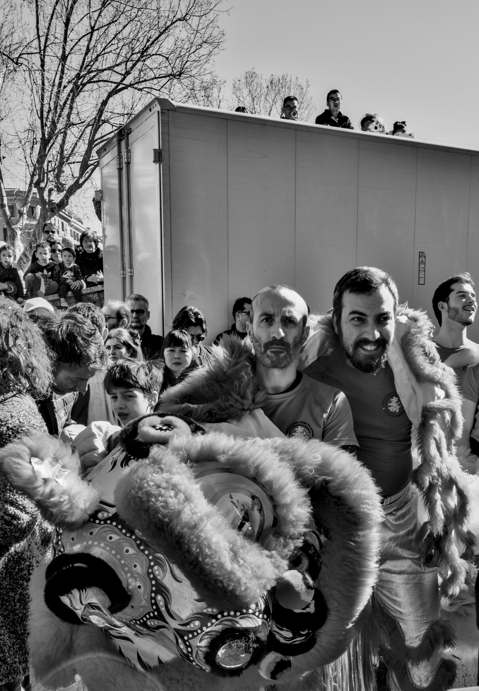 Year of the Fire Horse