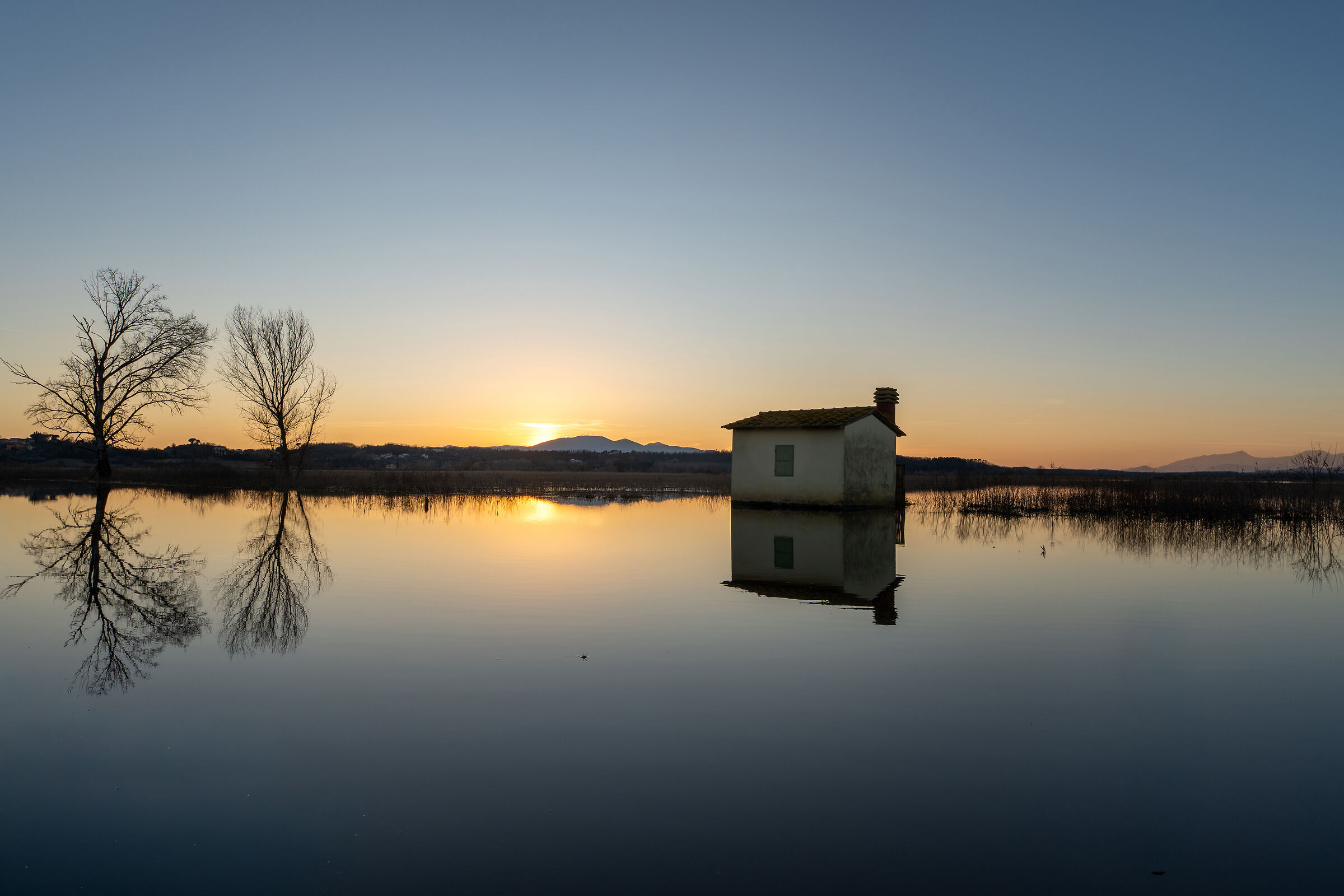 Fucecchio Marshes