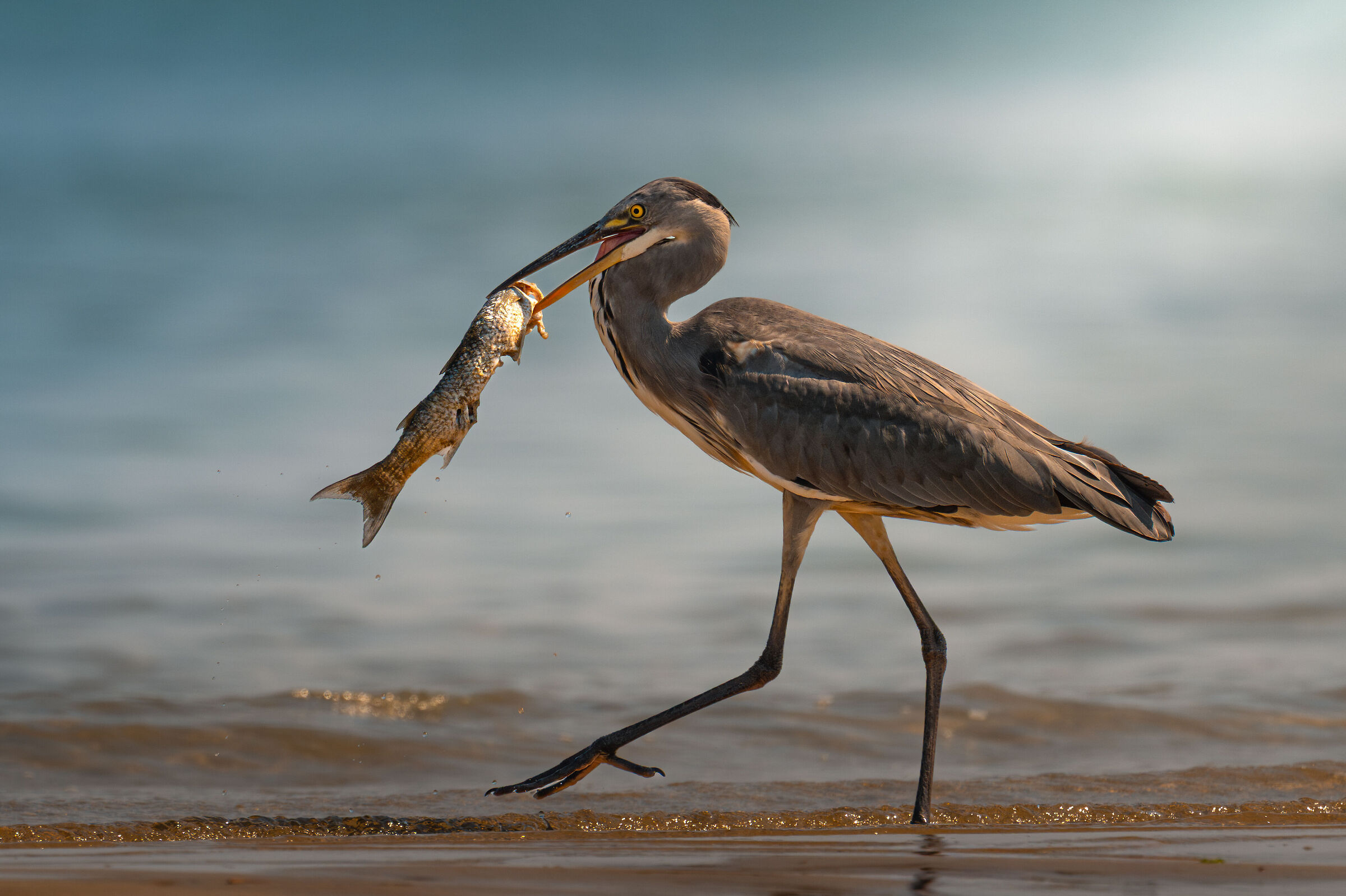 Now I'm taking you to a beautiful place.