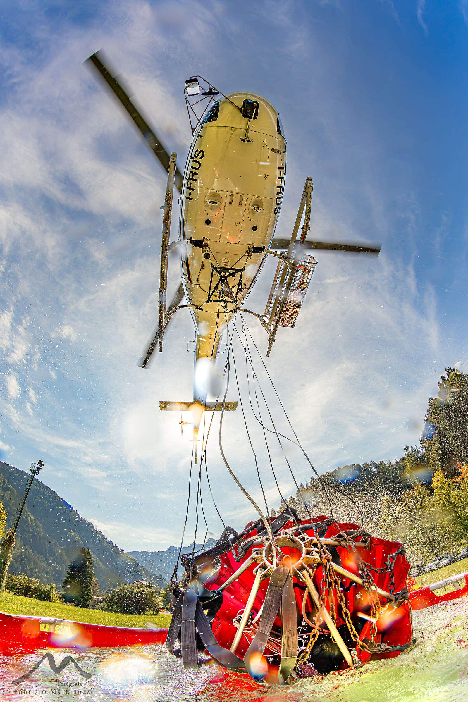 Bambi Bucket