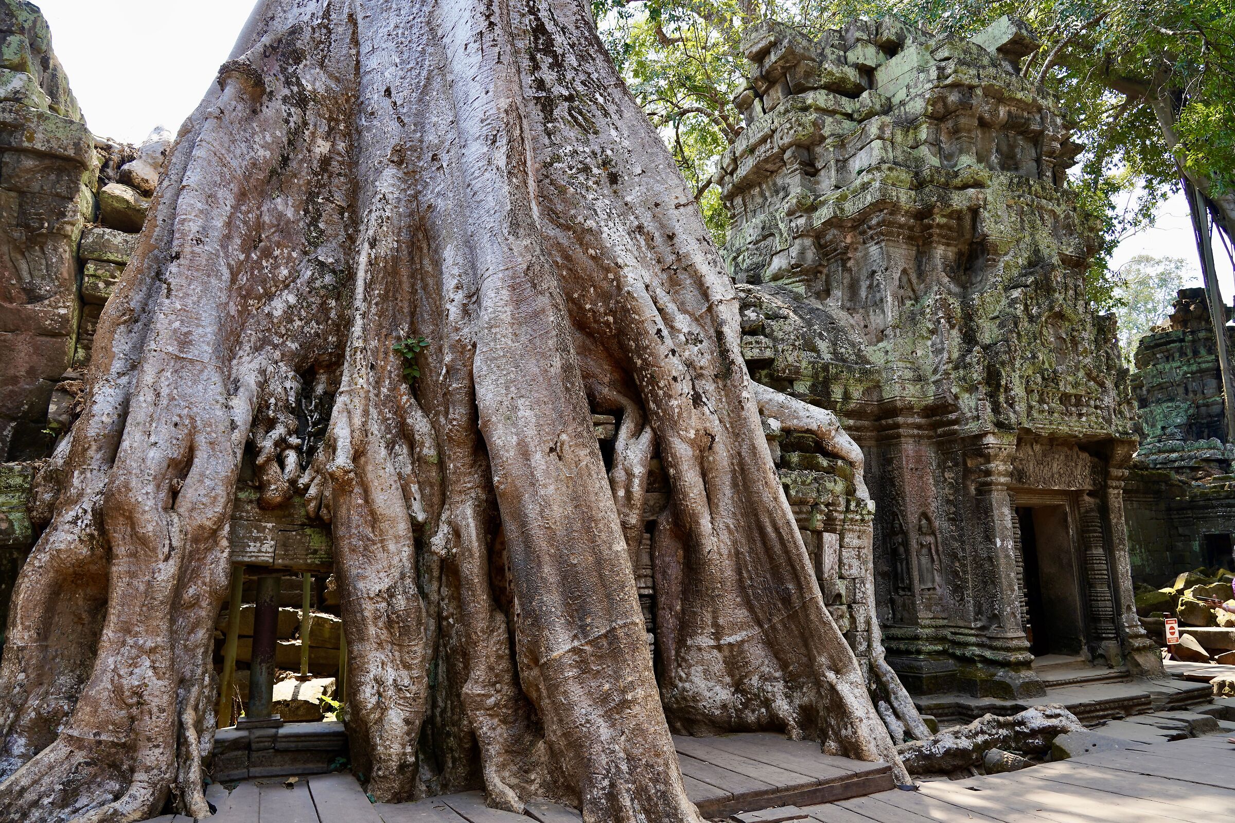Cambodia