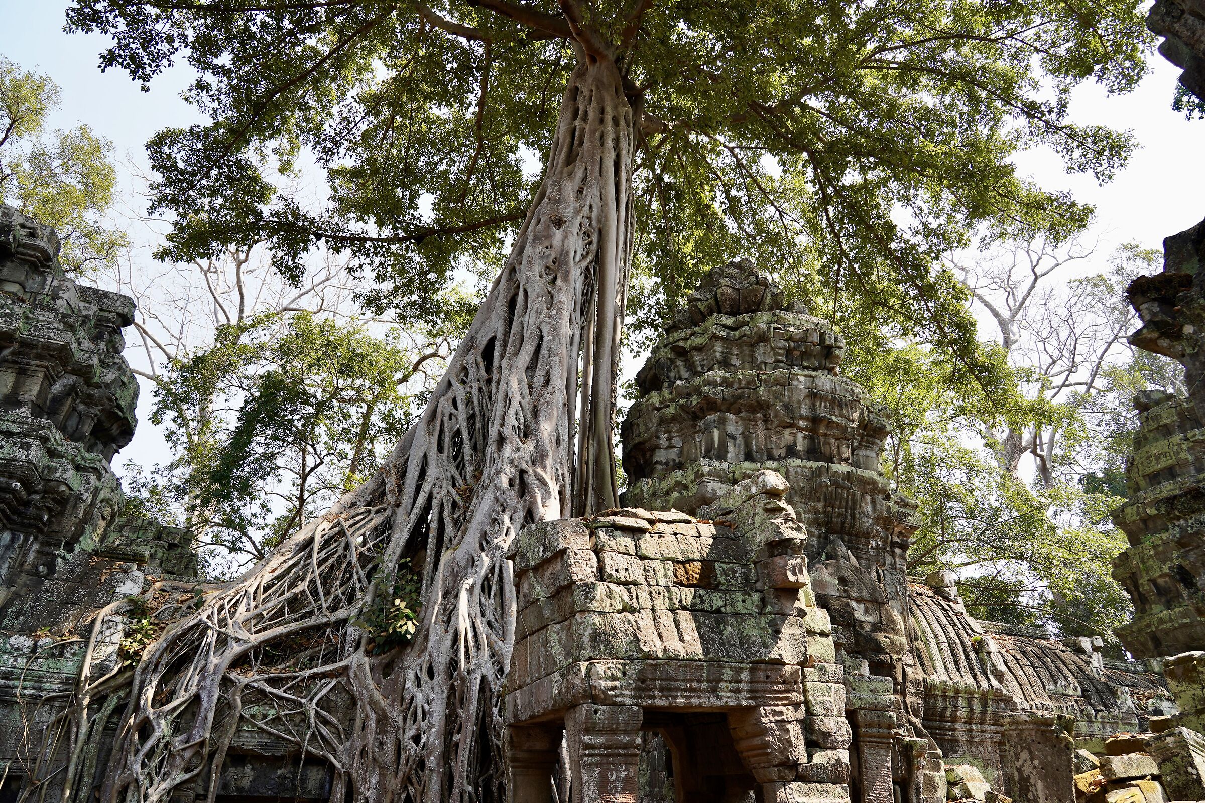 Cambodia