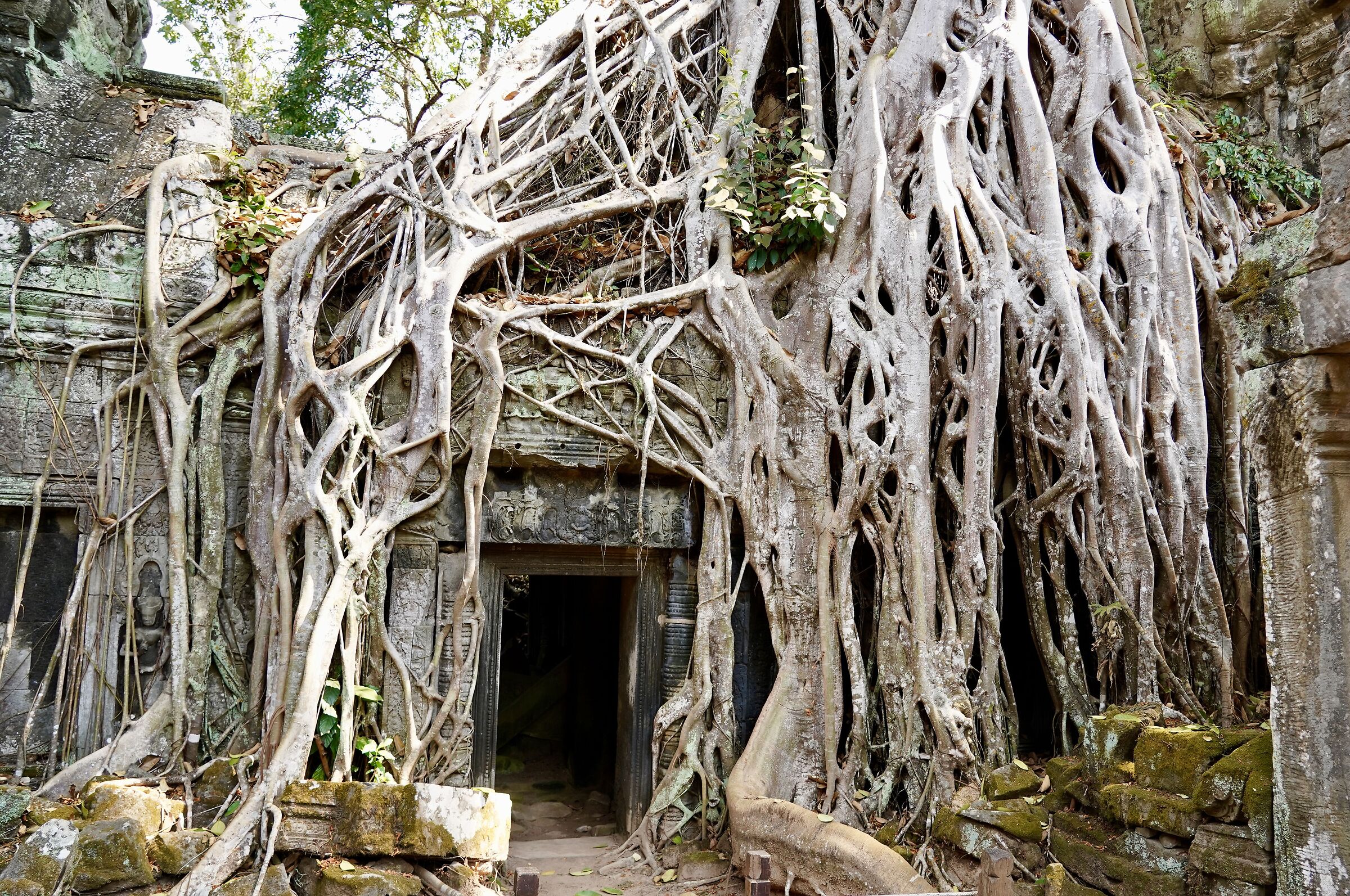 Cambodia