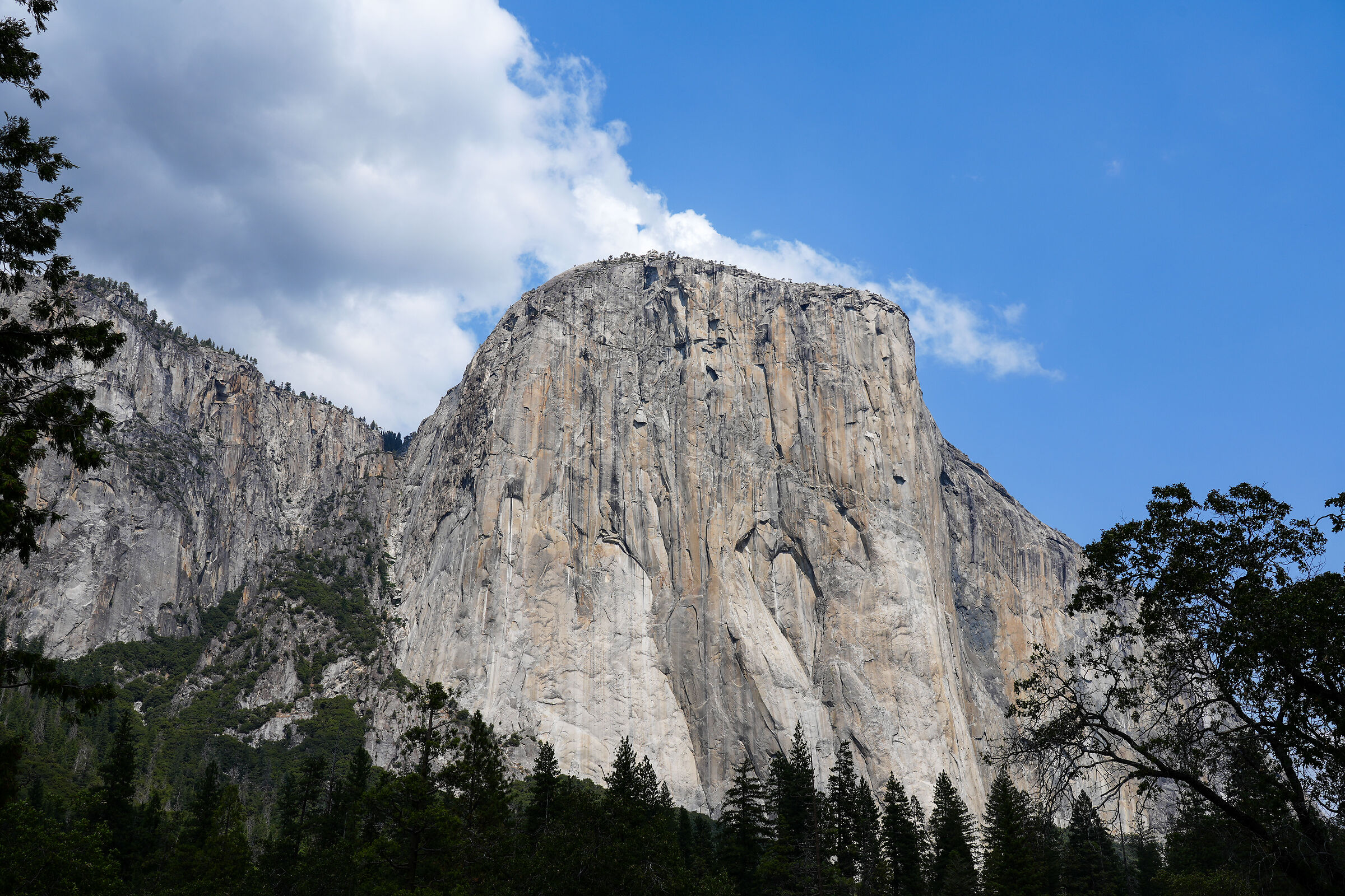 El Capitan (Yosemite National Park)