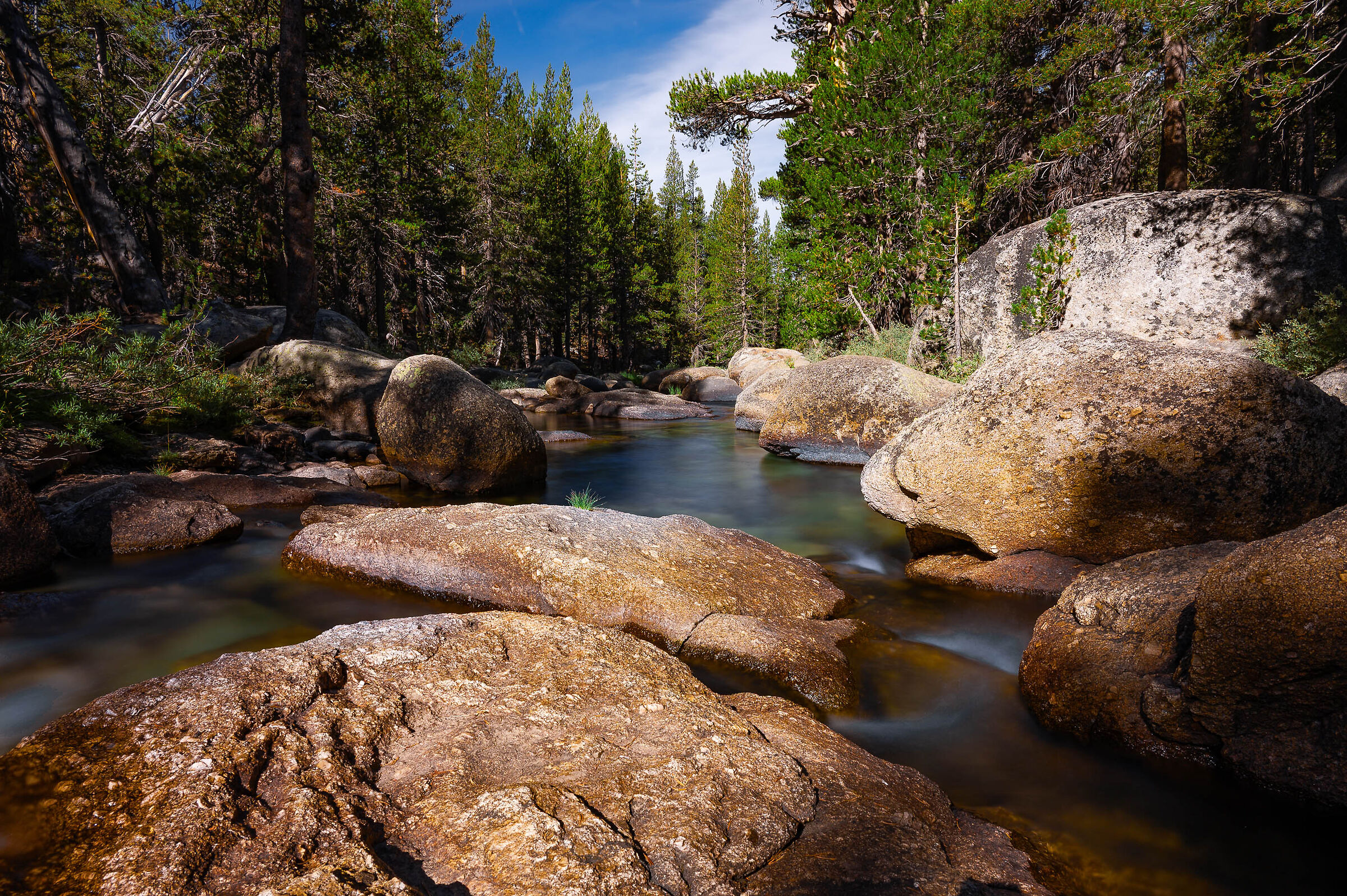 Yosemite Tenaya Creek