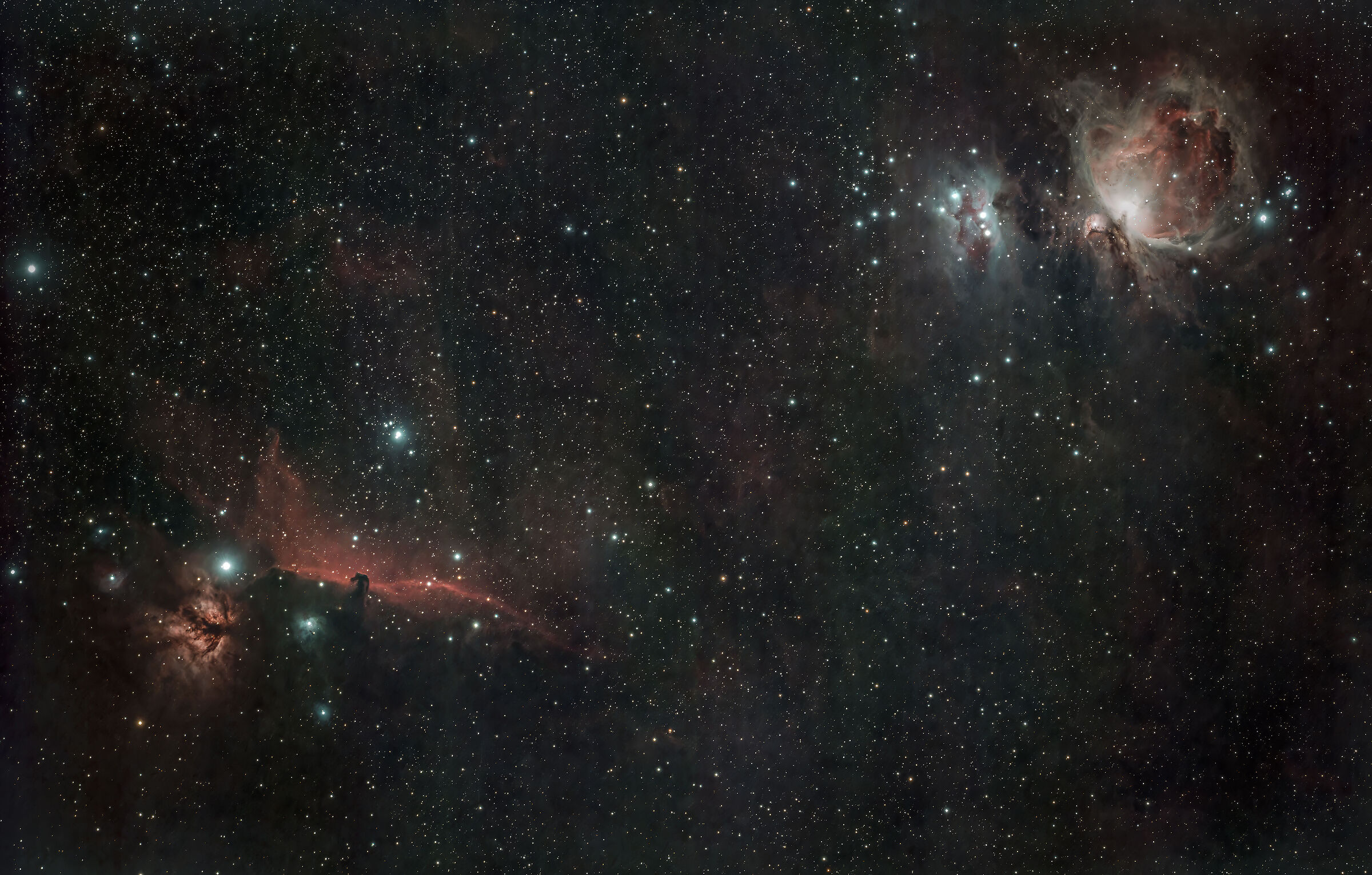 La ricca costellazione di Orione