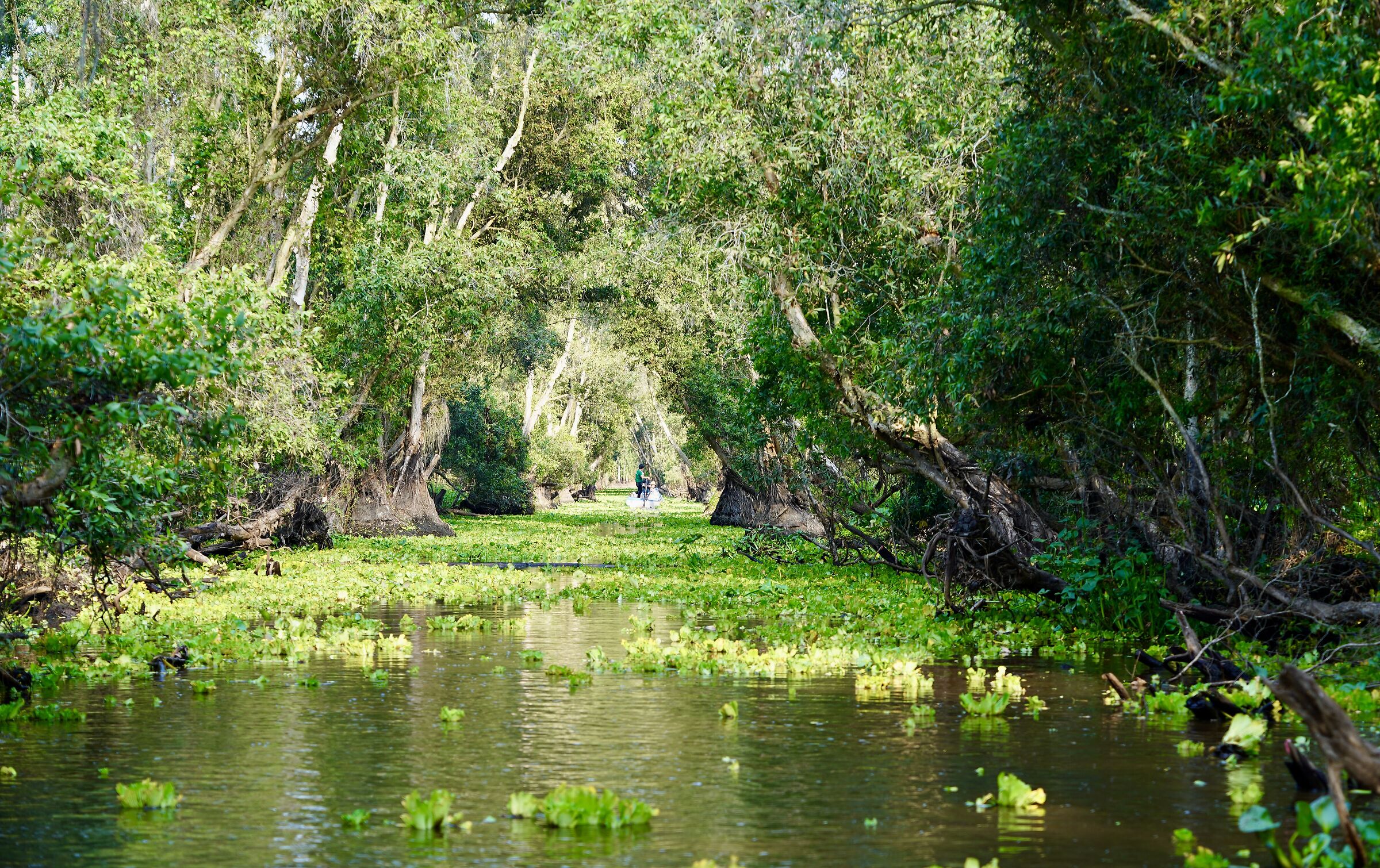 Vietnam