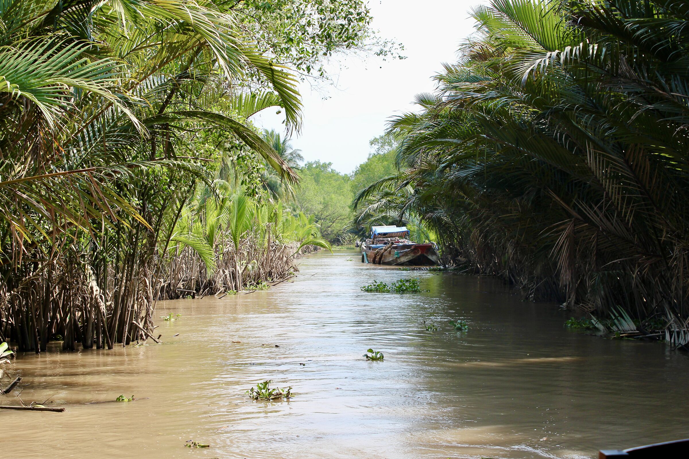 Vietnam