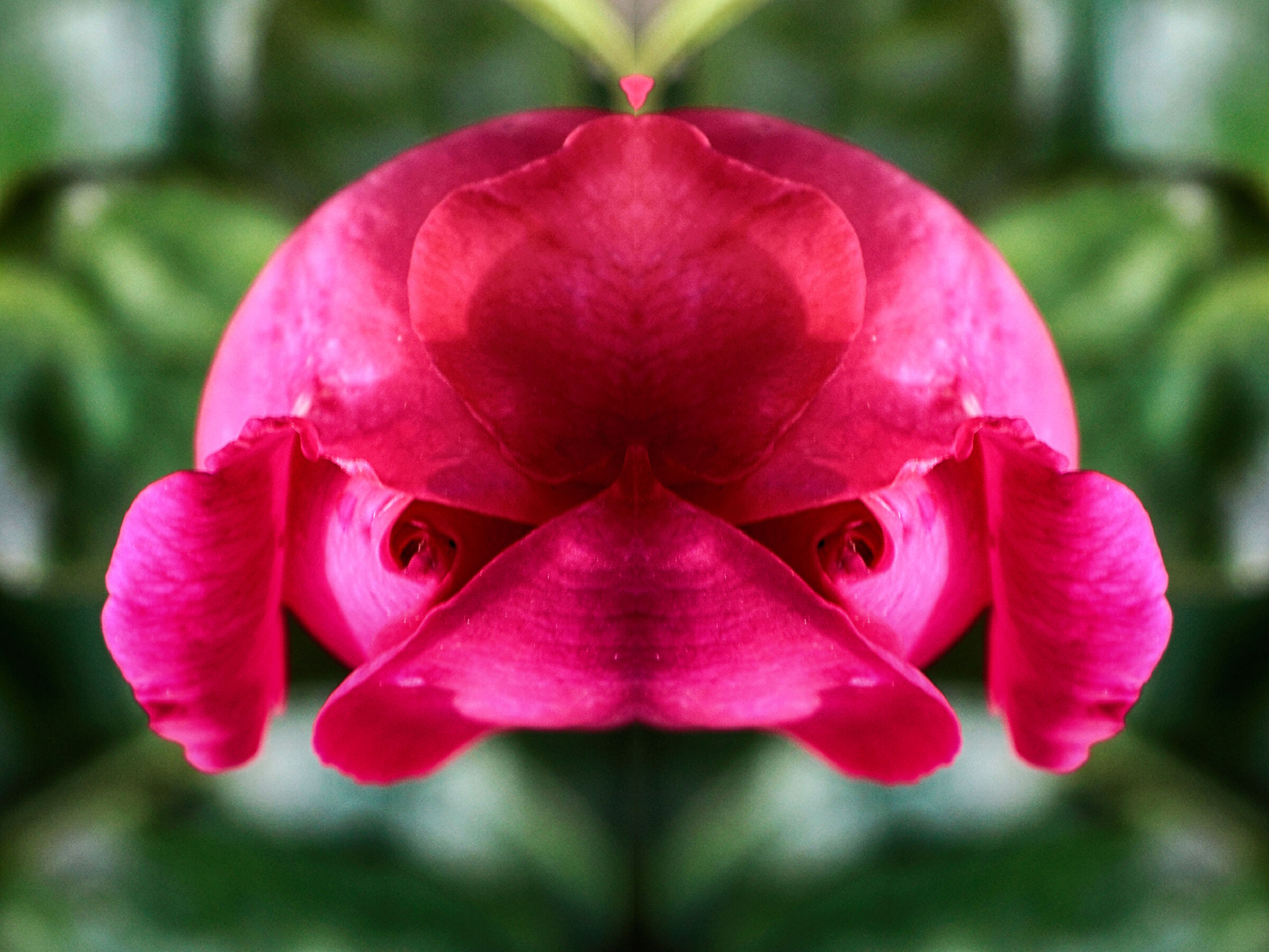 Rosalien della serie "Star Trek" :)