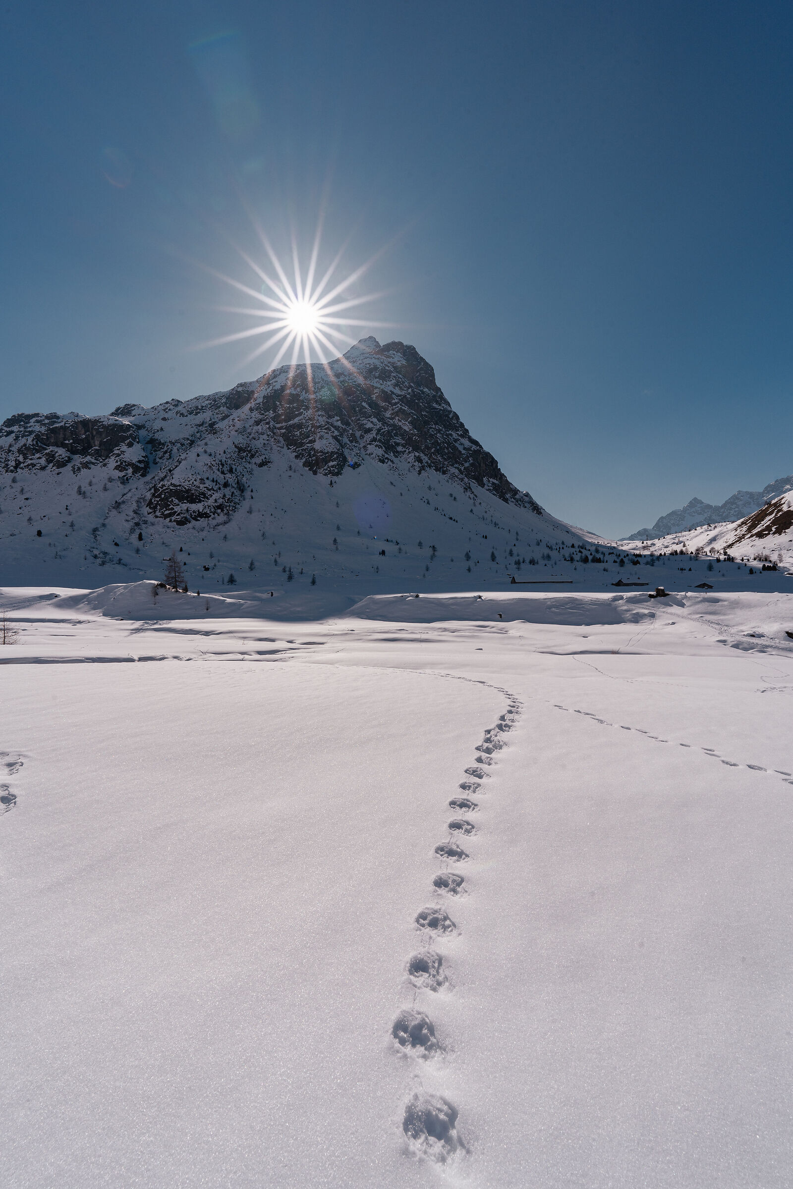 Footprints in the snow