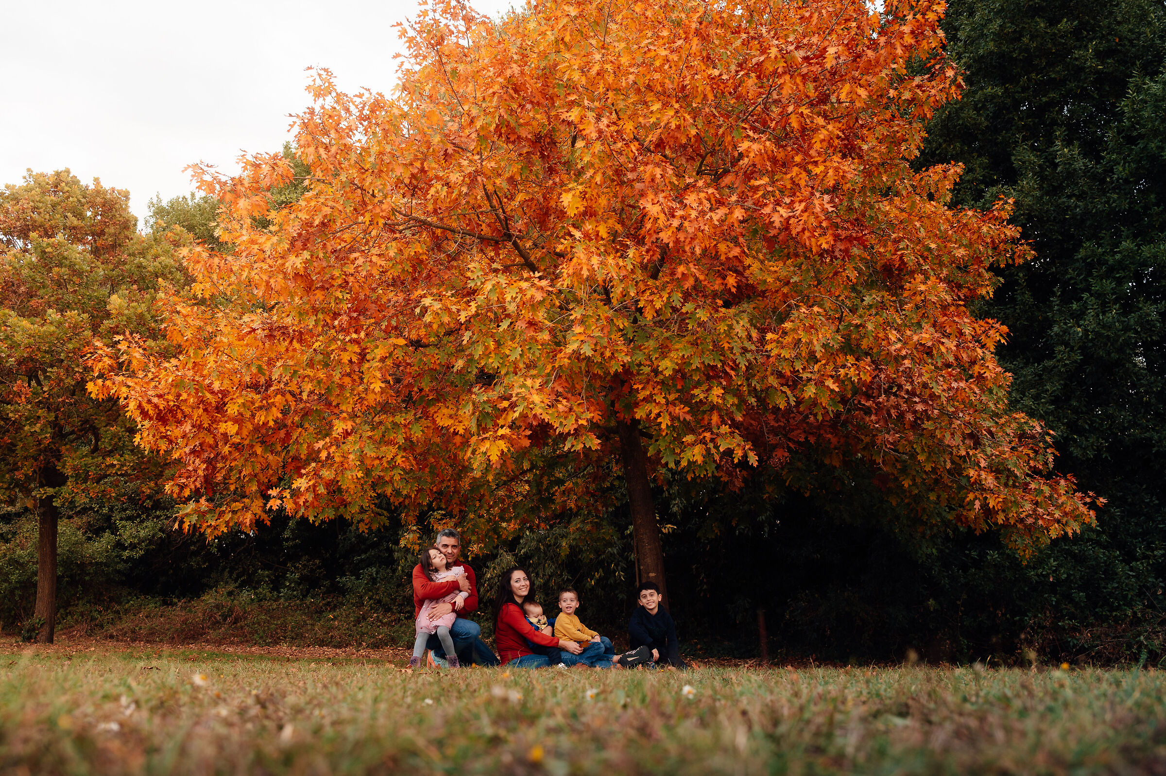 The season of autumn