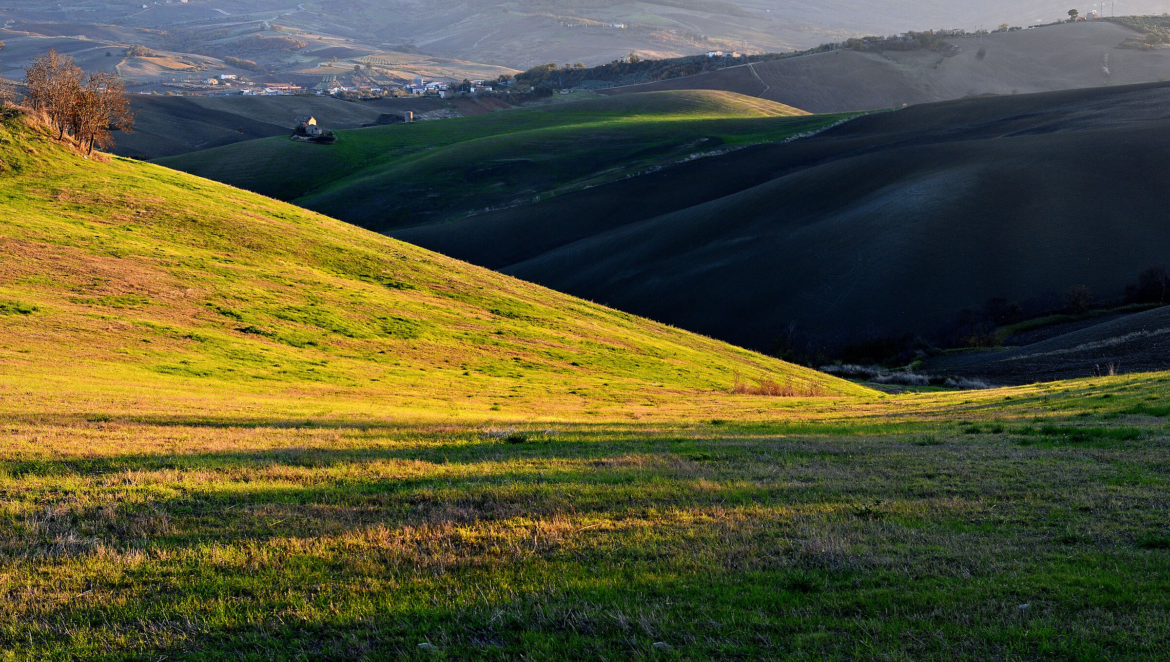 The hillock