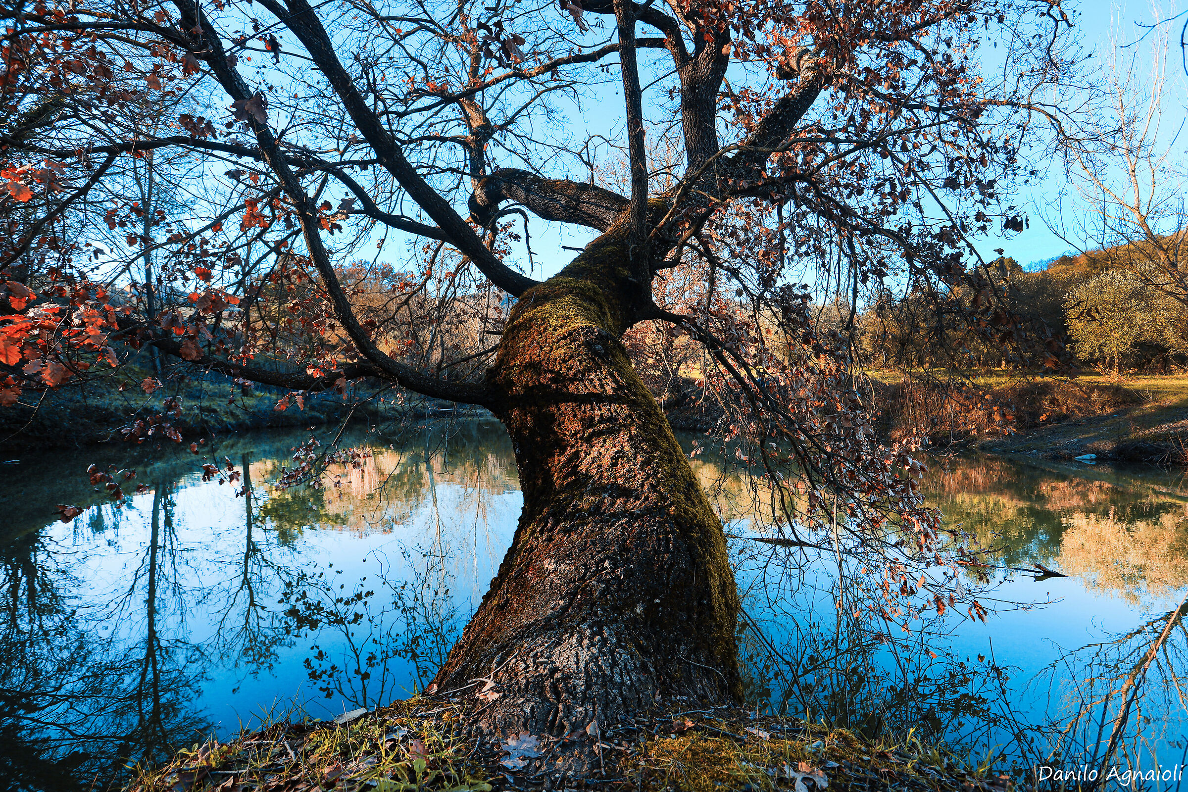 The Keeper of the Reflection