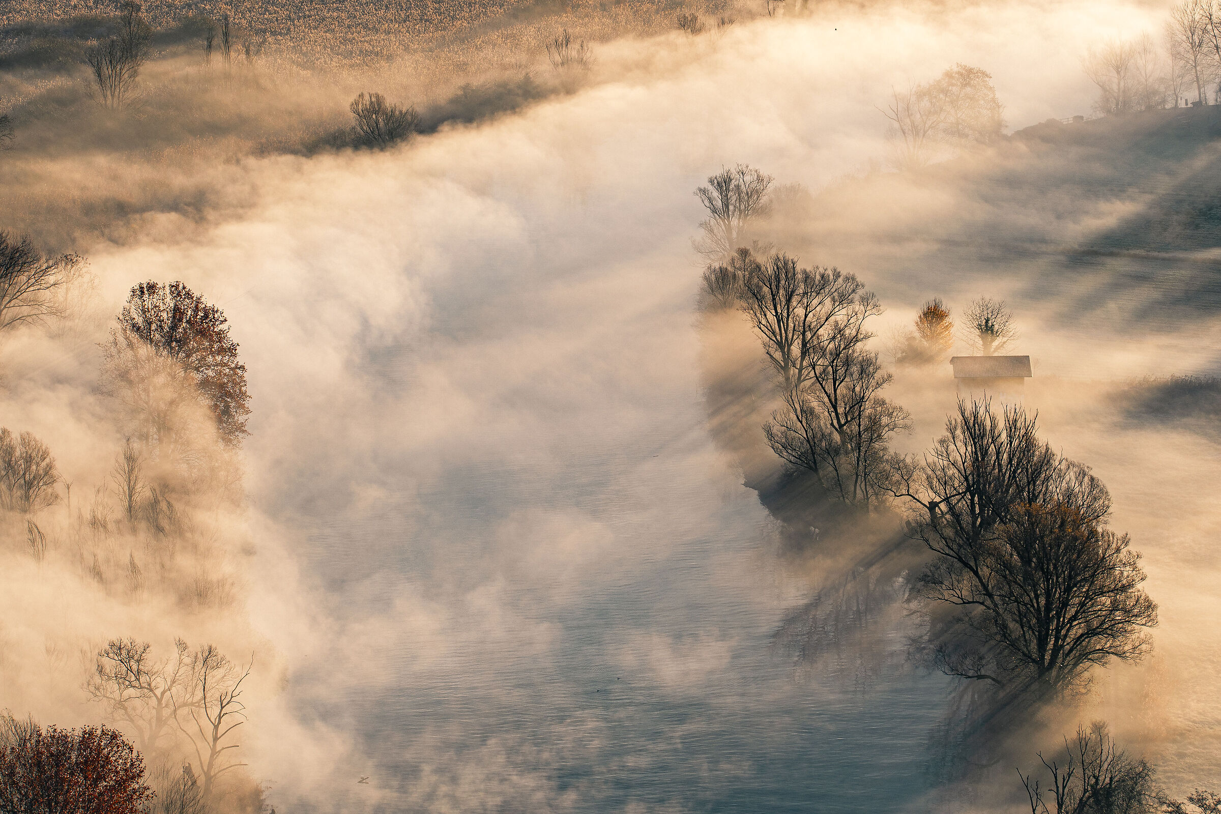 Details in the fog