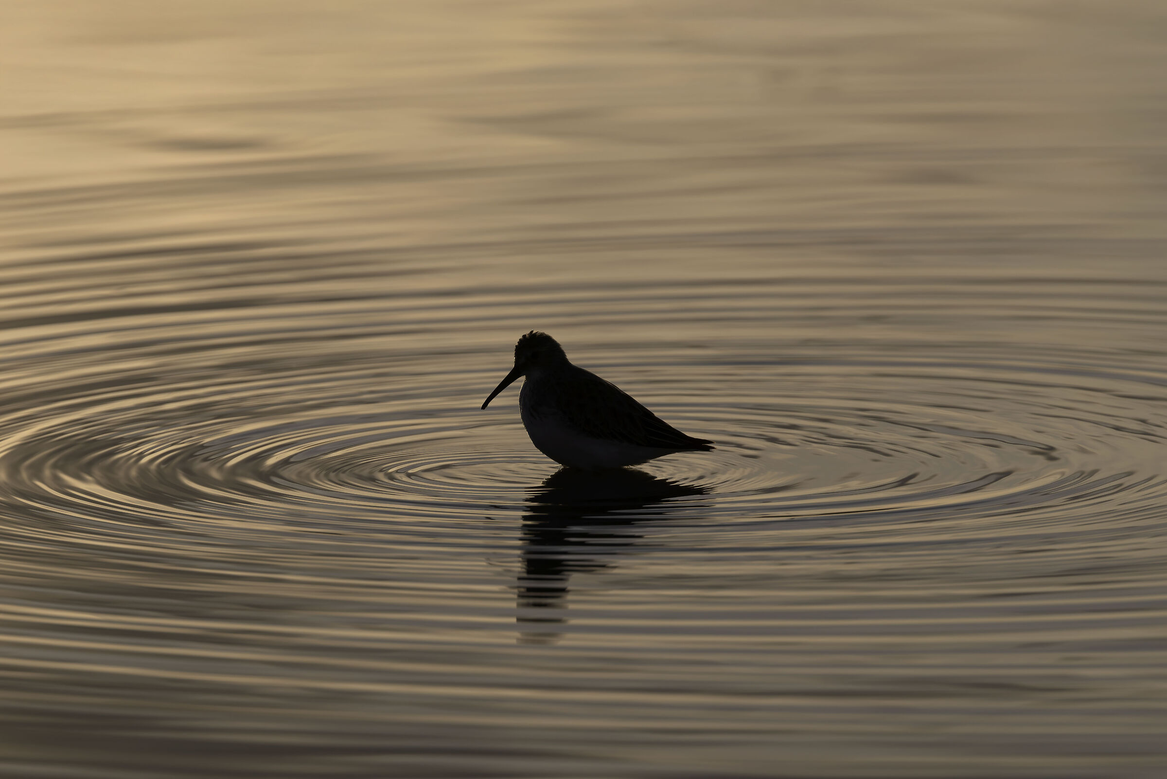 .. in between...