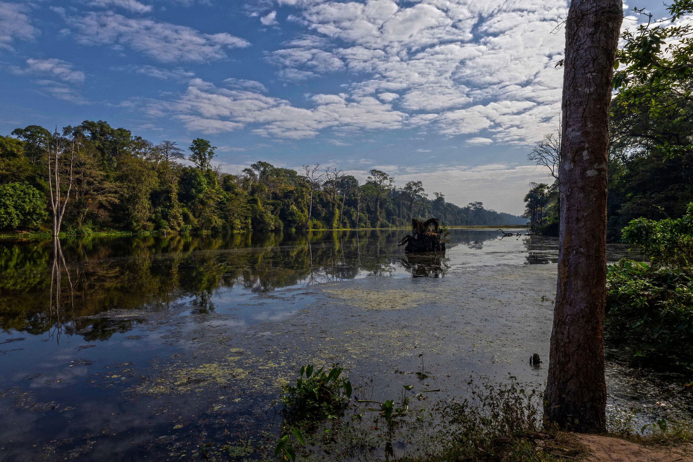 Cambodia River siem Reap
