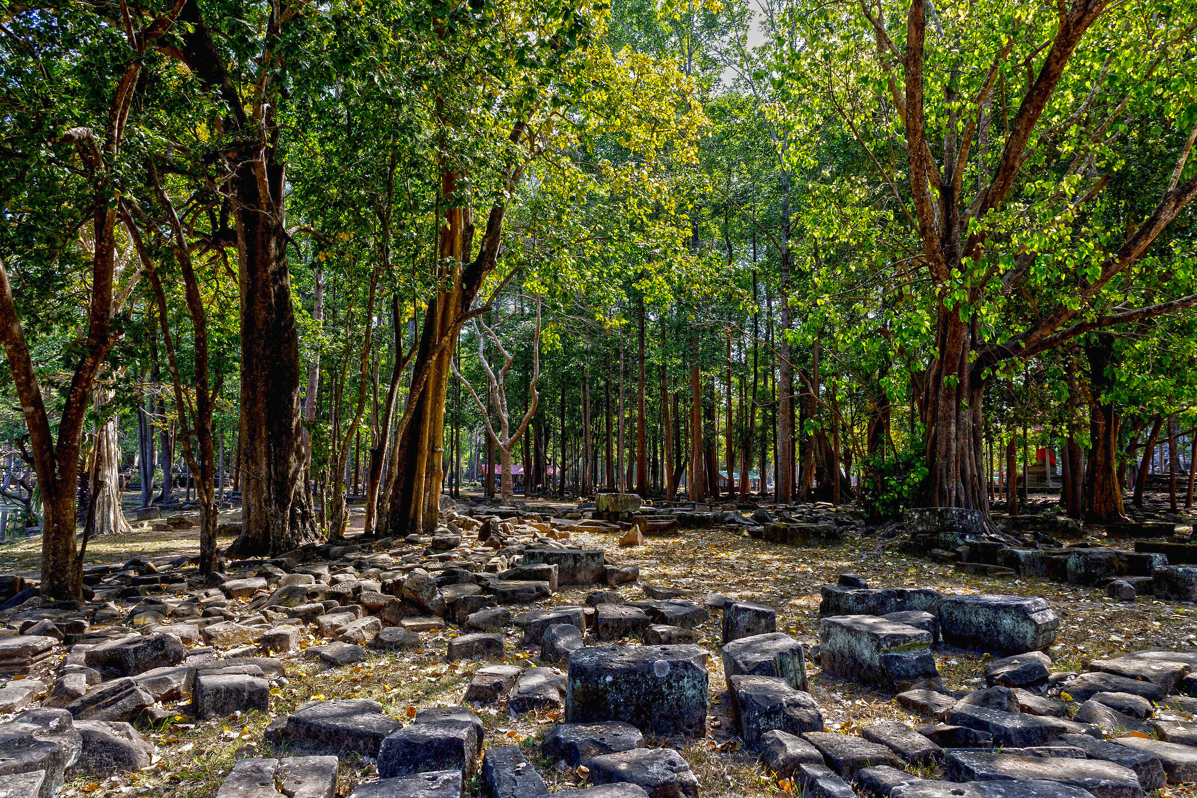 Cambodia Angkor Temple