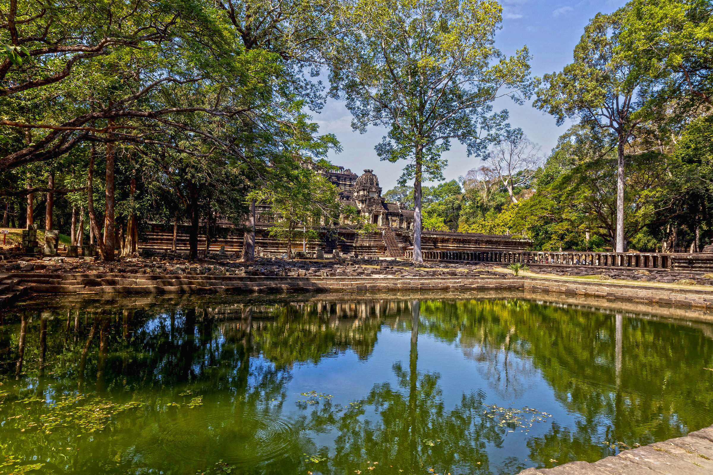 Cambodia Ta Prohm Temple