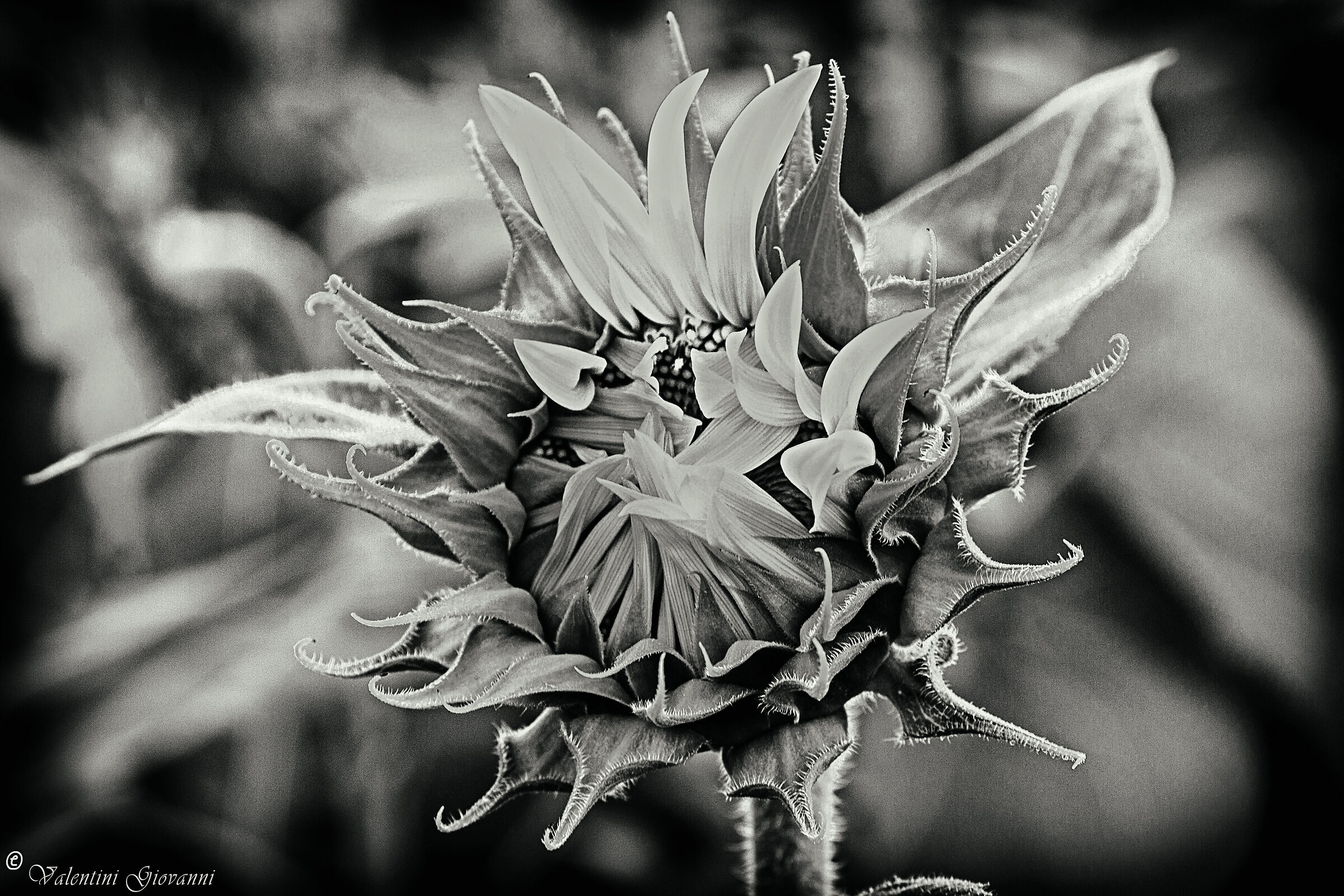 Untitled Photo