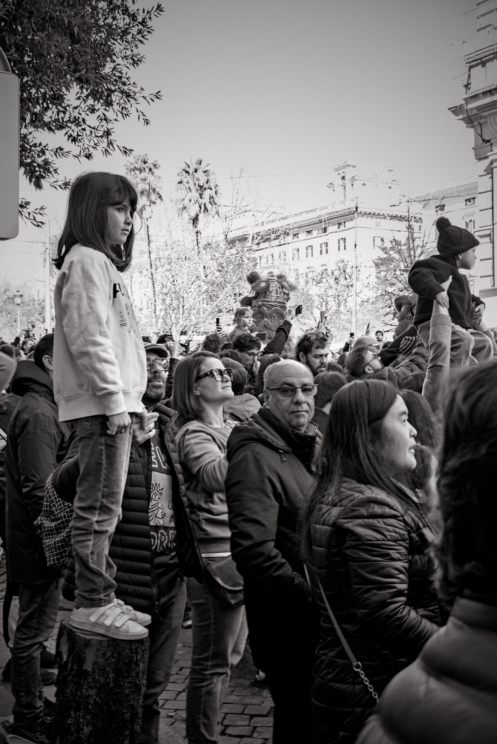 Year of the Fire Horse