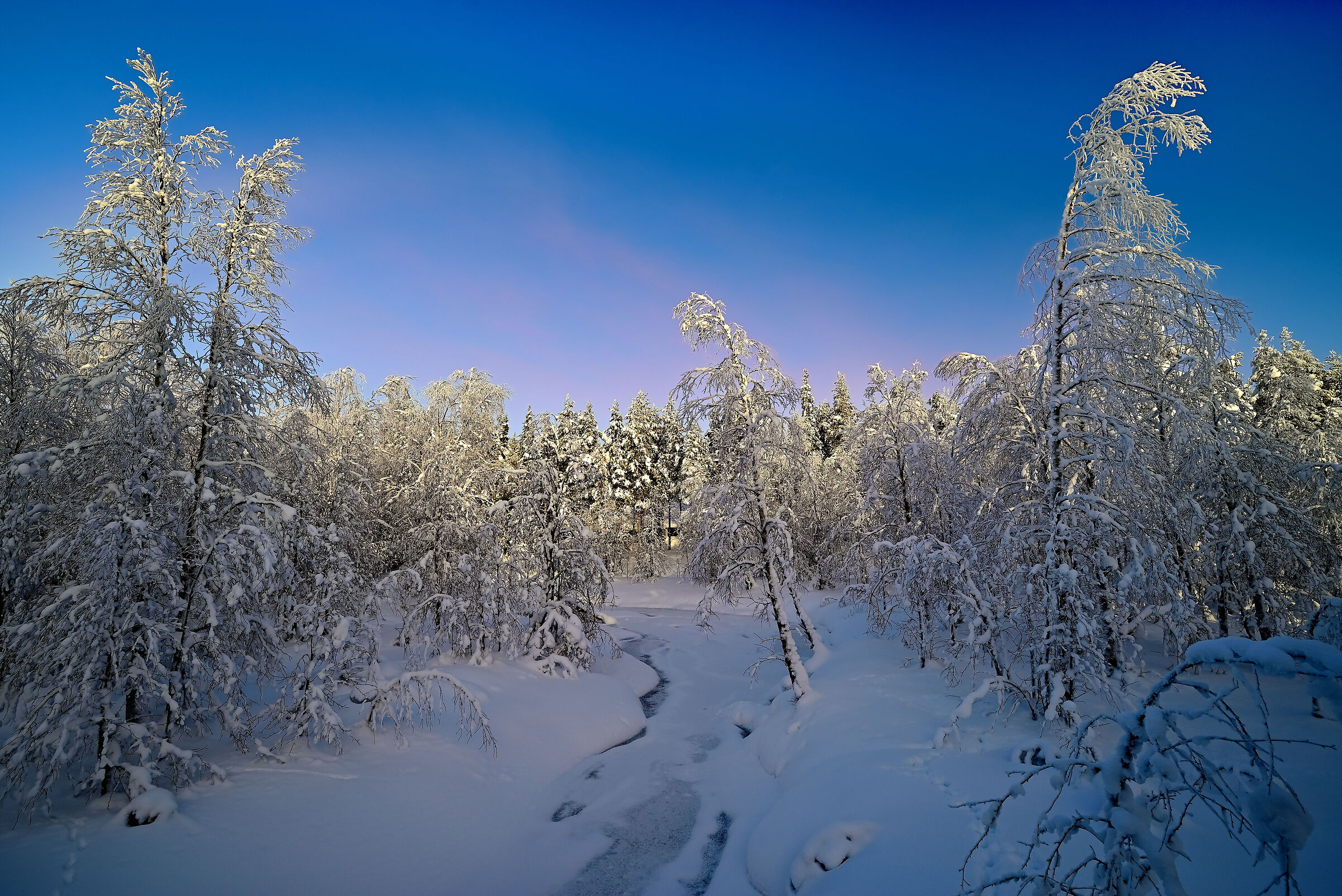 Il ruscello scorre sotto uno spesso strato di ghiaccio