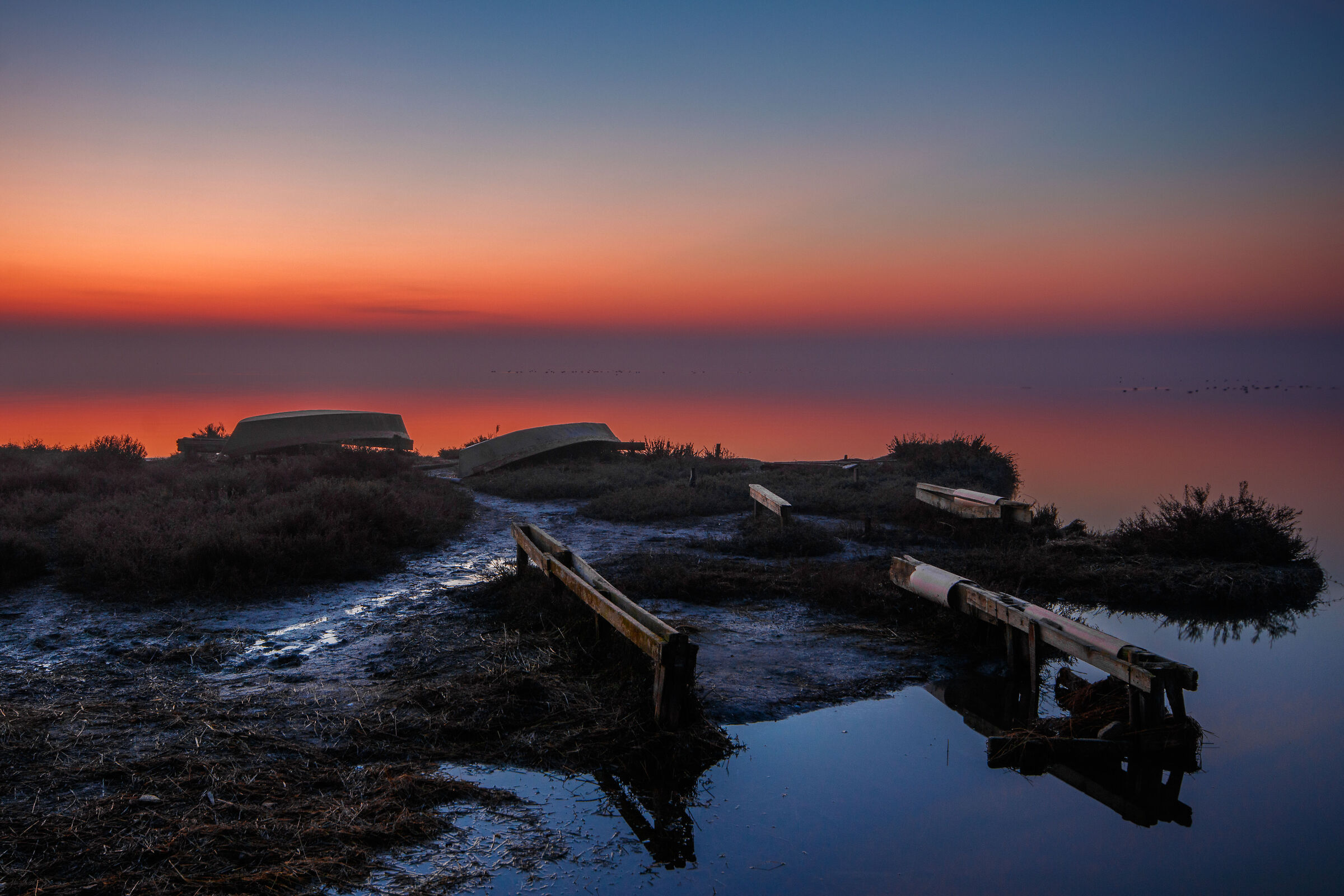 alba senza orizzonte
