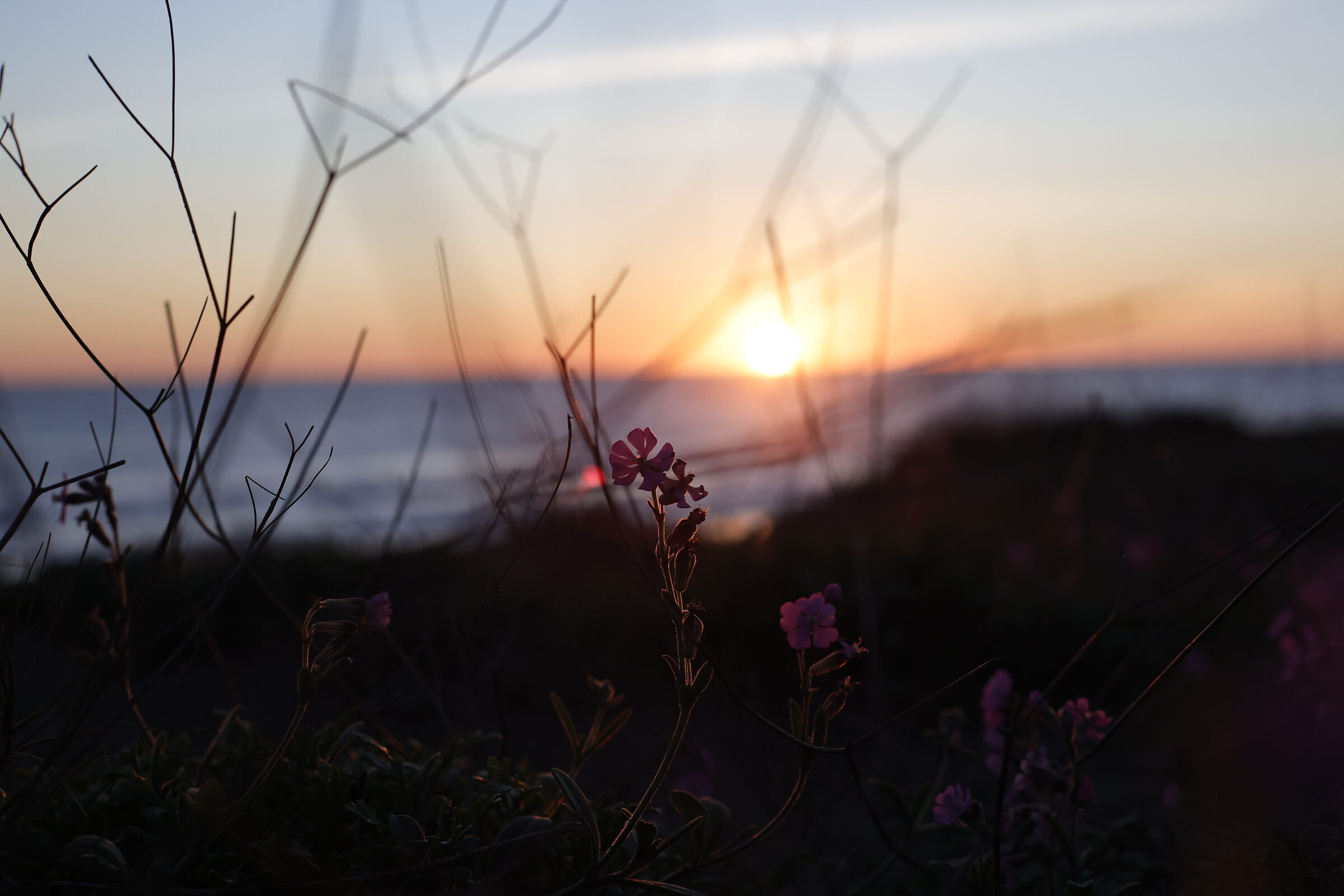 Winter sunset