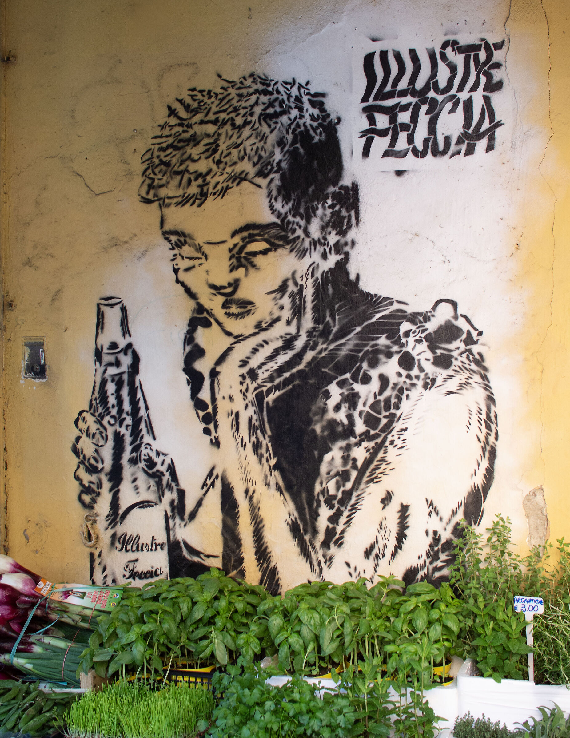 L'erborista