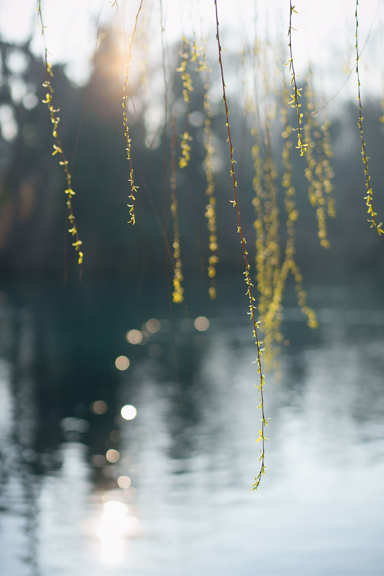 Silence, only the air.