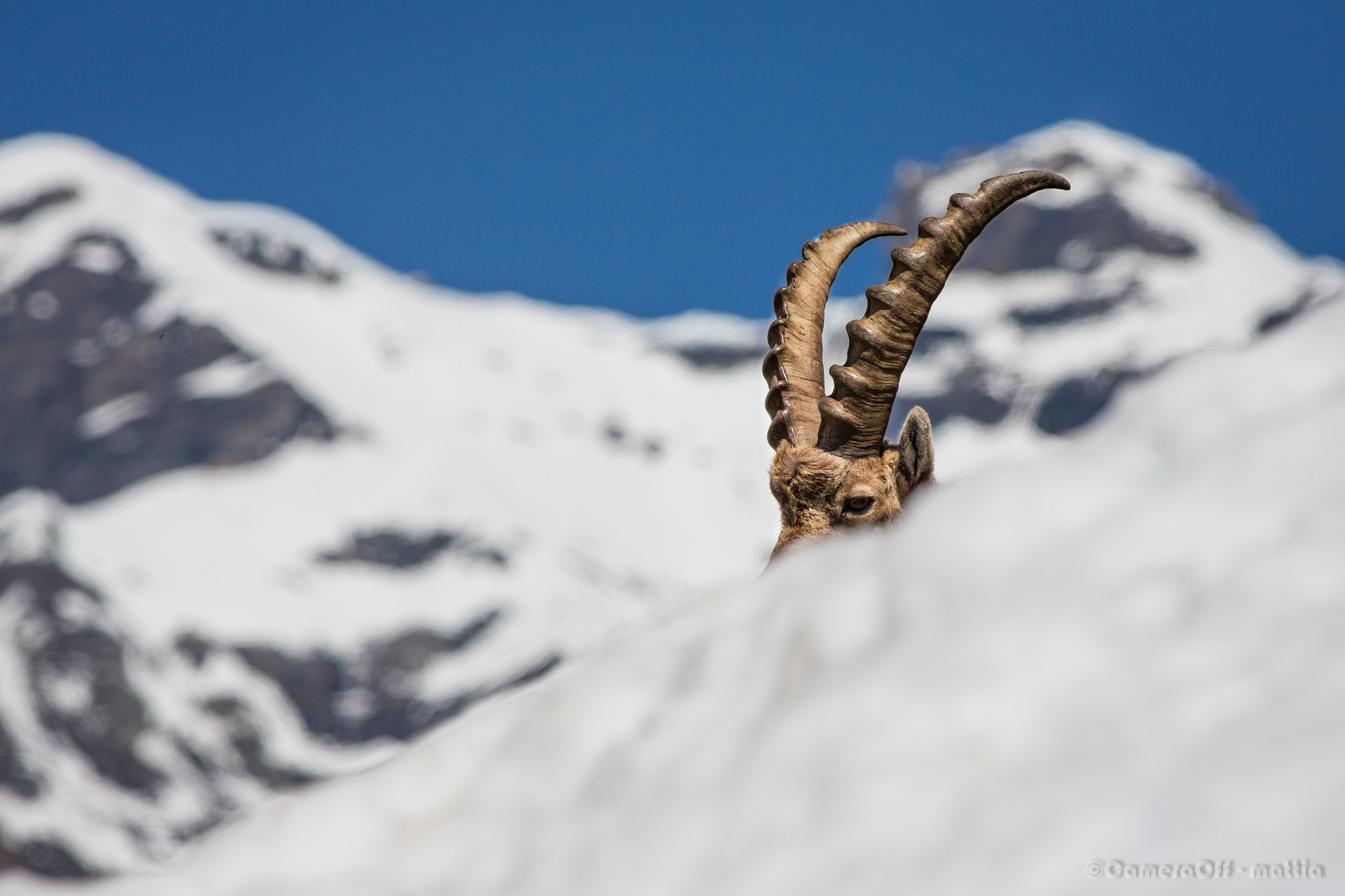 Something is happening ...