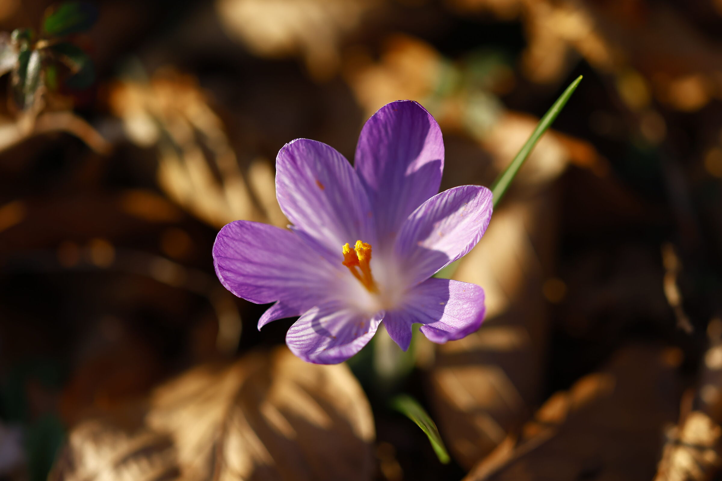 Untitled Photo