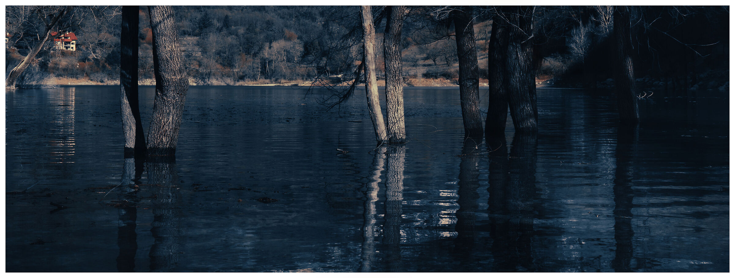 Trees immersed in Lake Tenno